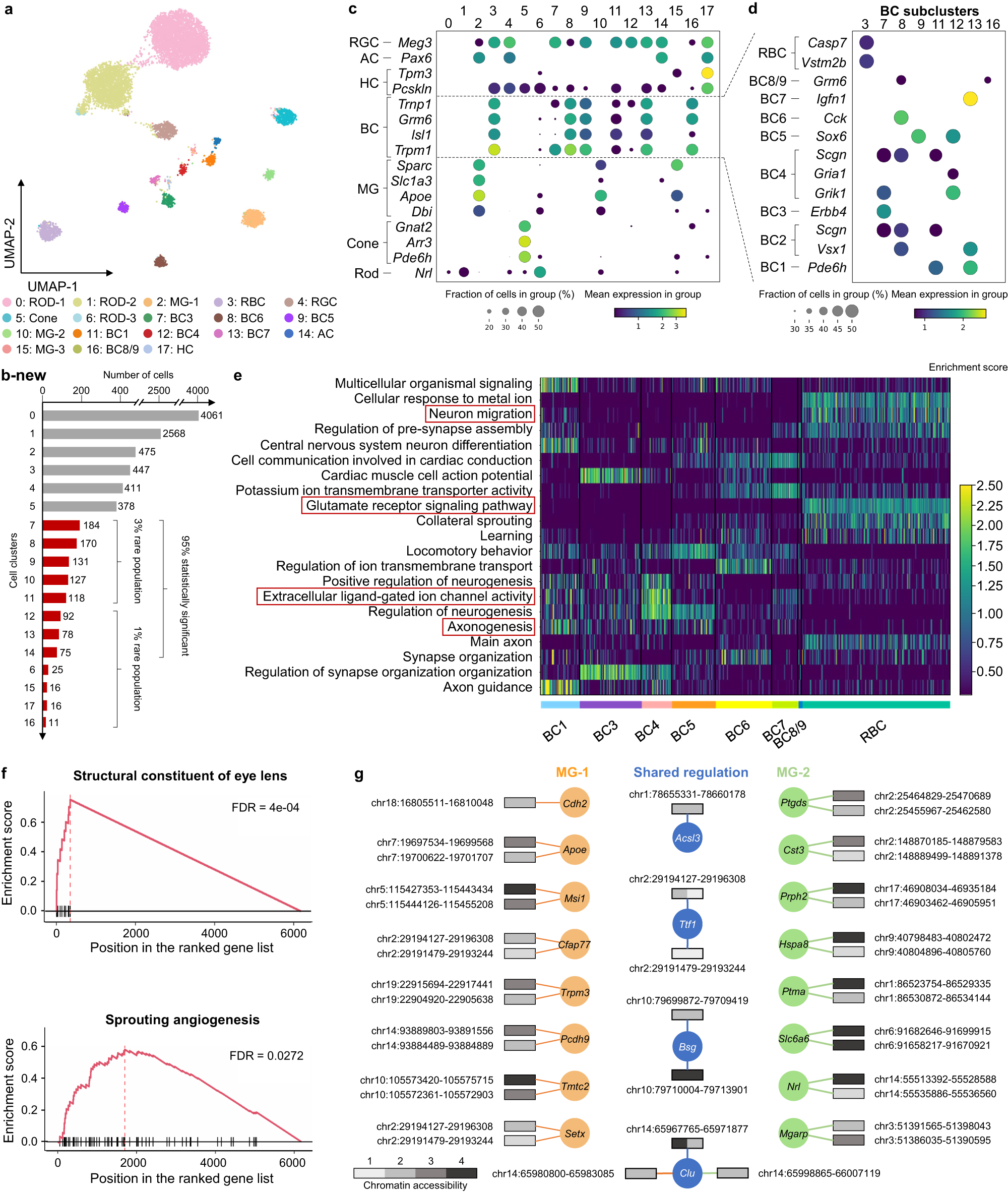 Fig. 3: MarsGT effectively captures differential regulatory mechanisms and uncovers biologically meaningful rare cell populations often missed by other tools.