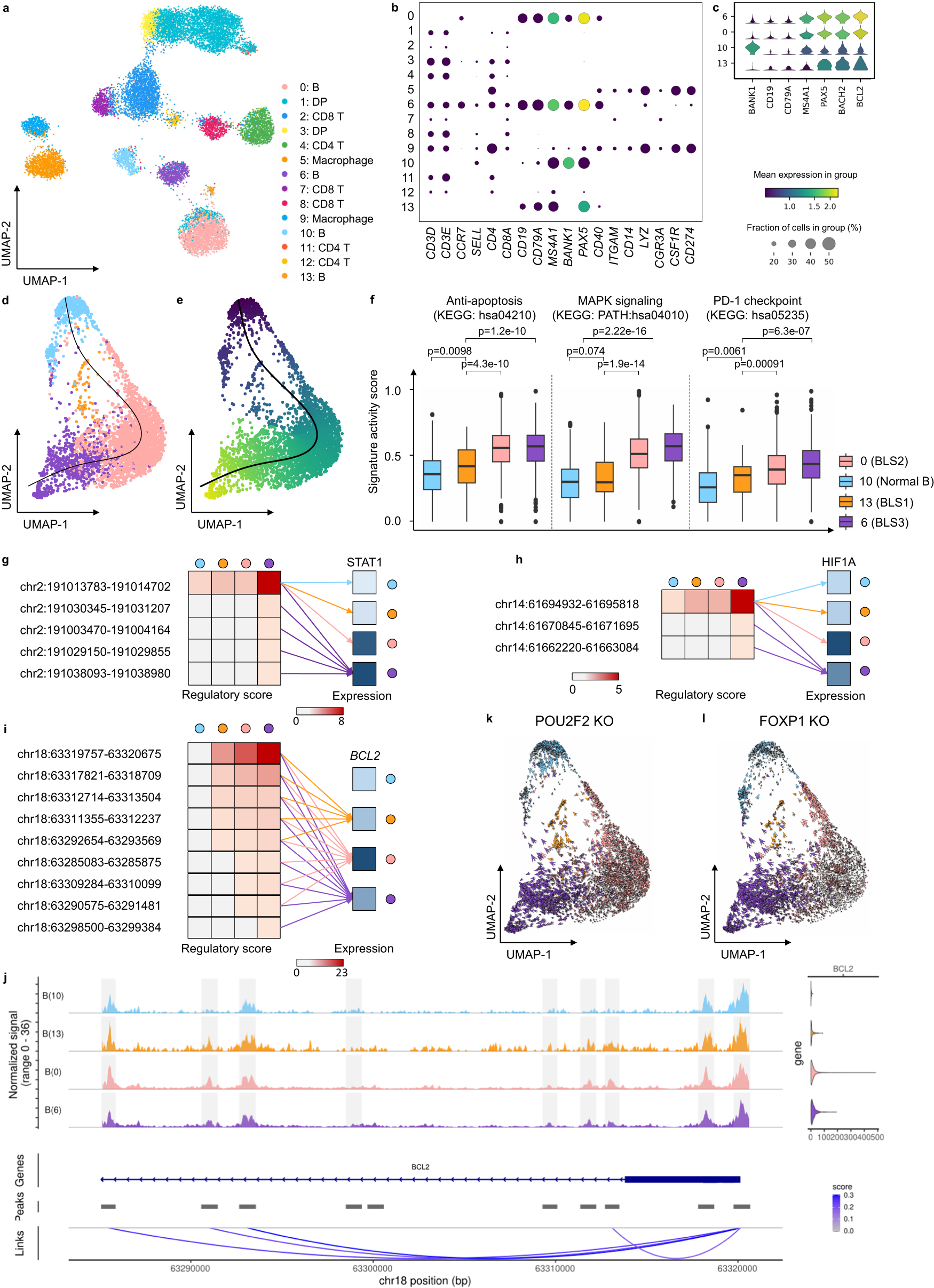 Fig. 4: MarsGT identifies the rare cells in the intermediate transition state on B lymphoma data.
