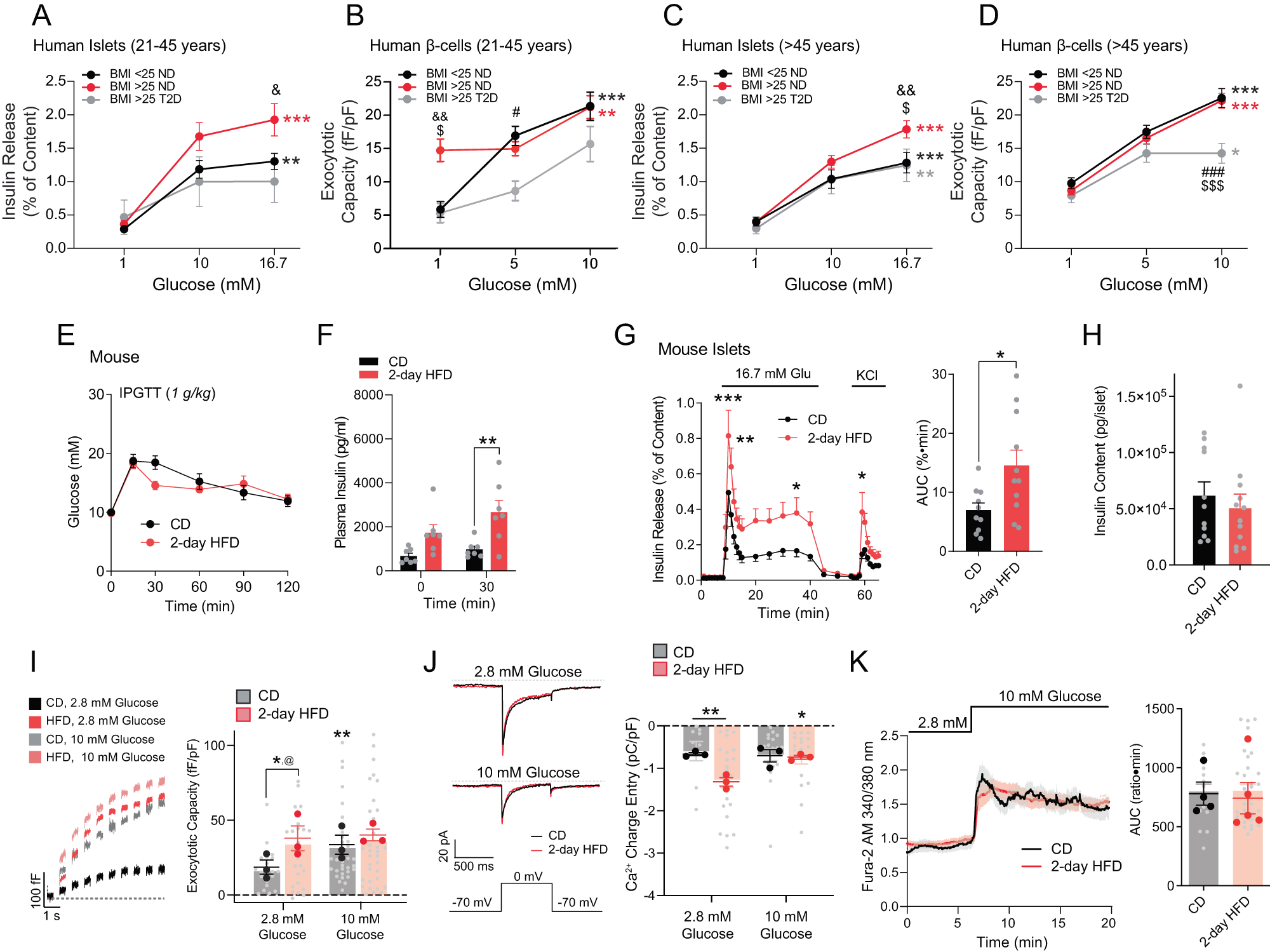 Fig. 1: Higher insulin secretion and β-cell exocytosis from islets of overweight donors and 2-day HFD mice.