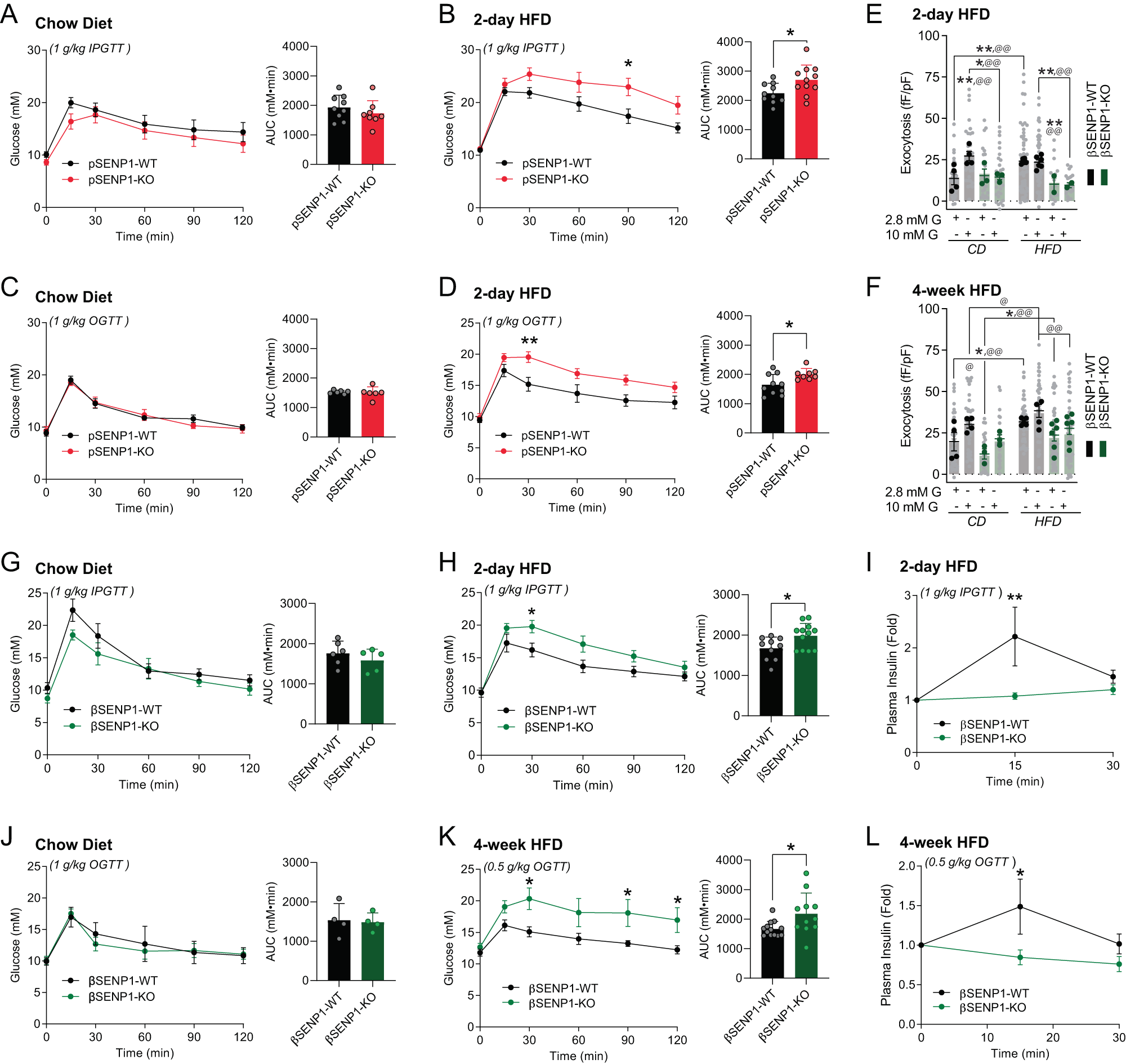 Fig. 4: βSENP1-KO mice develop glucose intolerance following 2-day HFD.