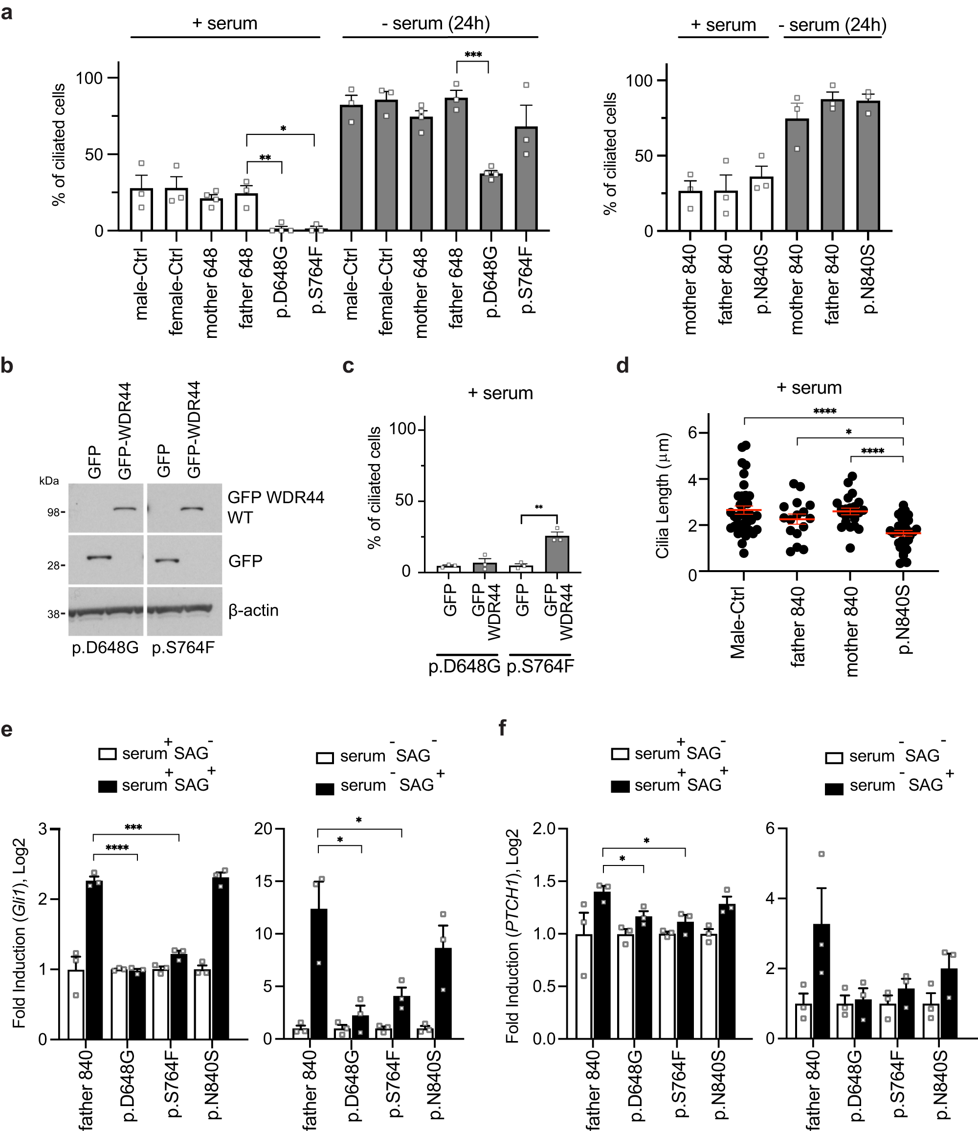 Fig. 3: Patient fibroblasts have affected ciliation and Hedgehog signaling.
