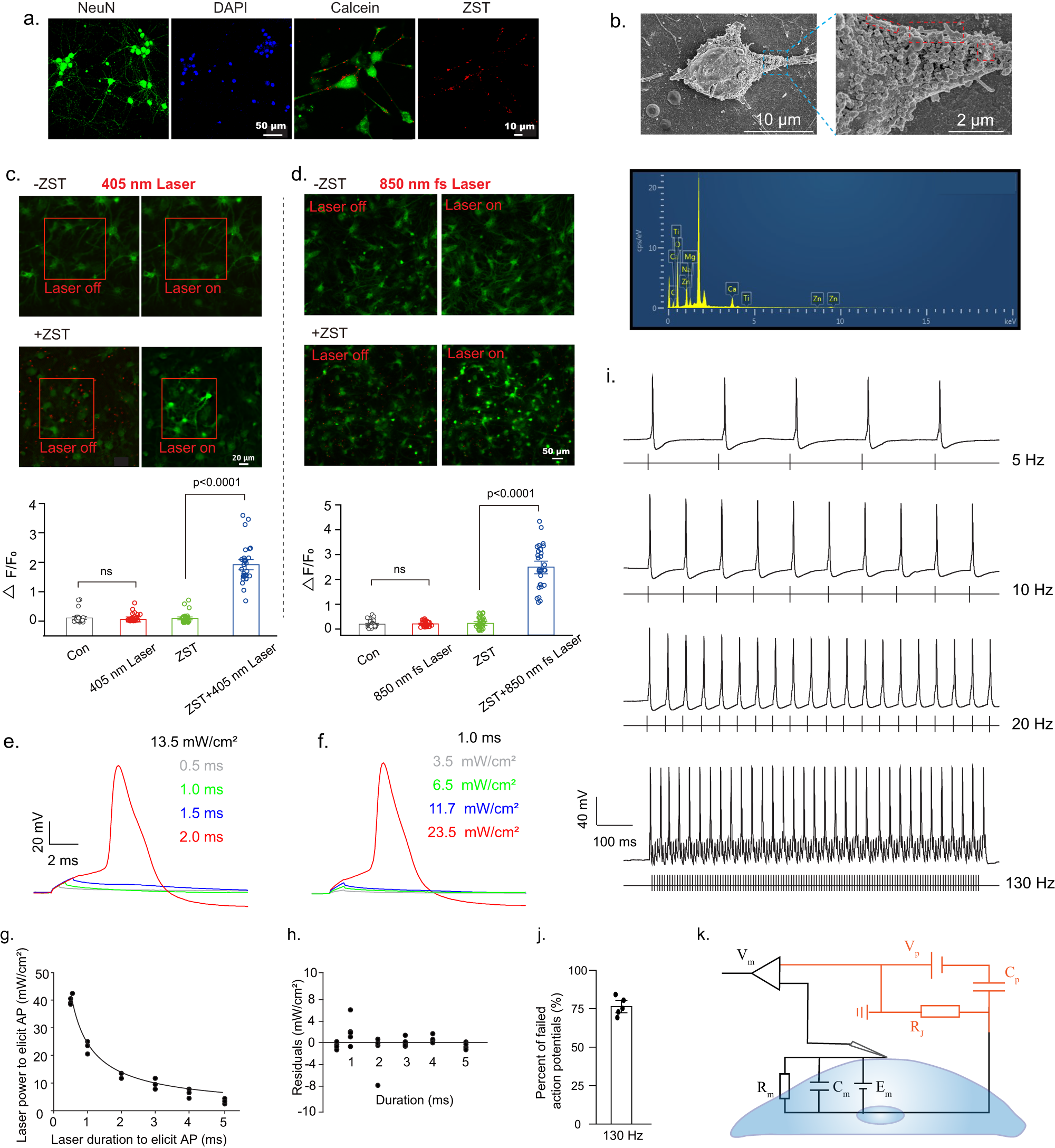 Fig. 3: Photocapacitive behavior and fast responses of ZST for membrane depolarization induction and action potential generation.