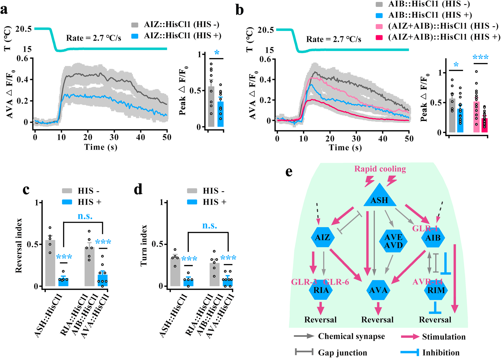 Fig. 10: Multiple parallel circuits mediate ASH responses to rapid cooling stimulation.