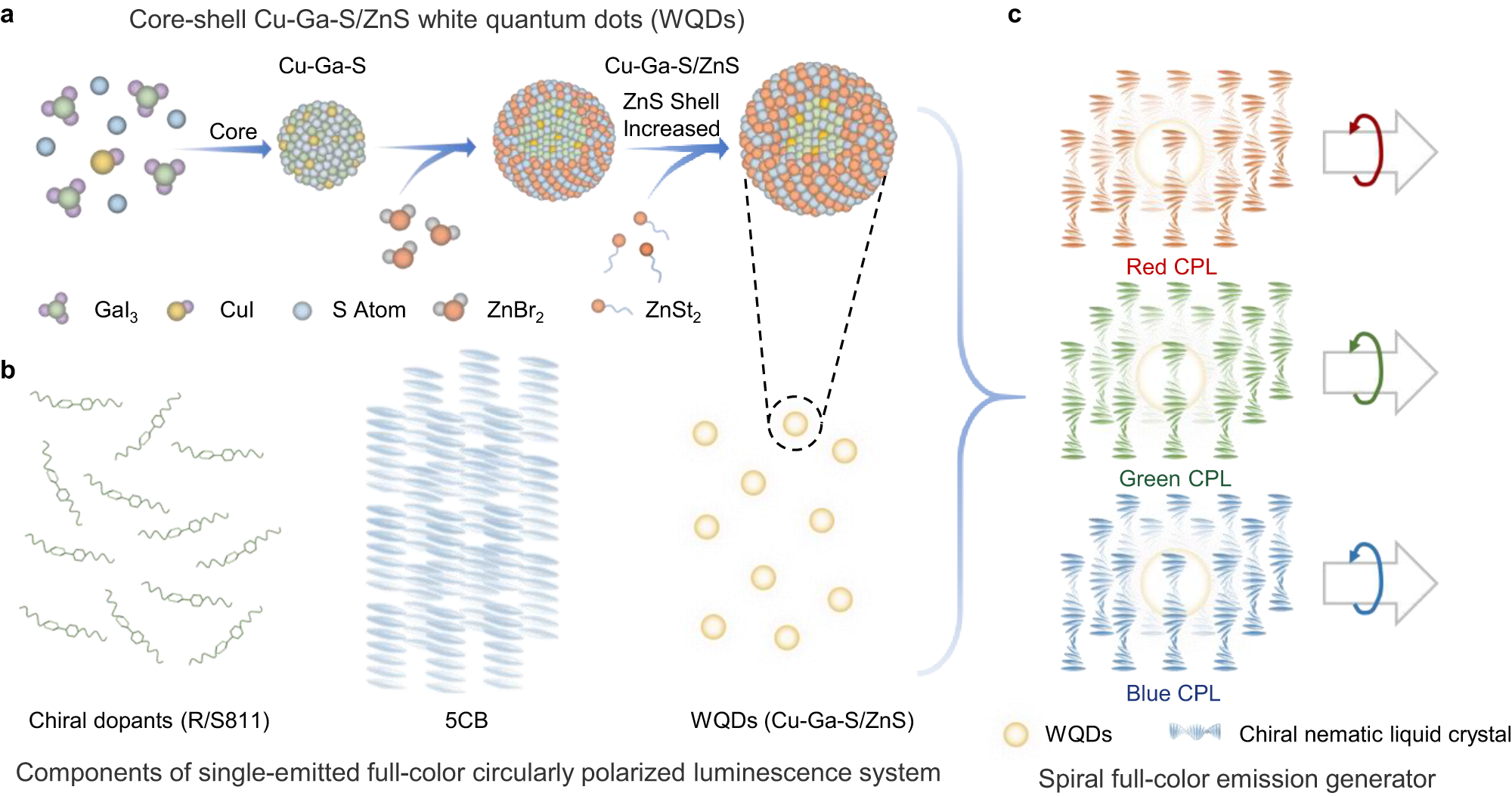Fig. 1: Schematic illustration of the fabrication of the spiral full-color emission generator (SFEG).