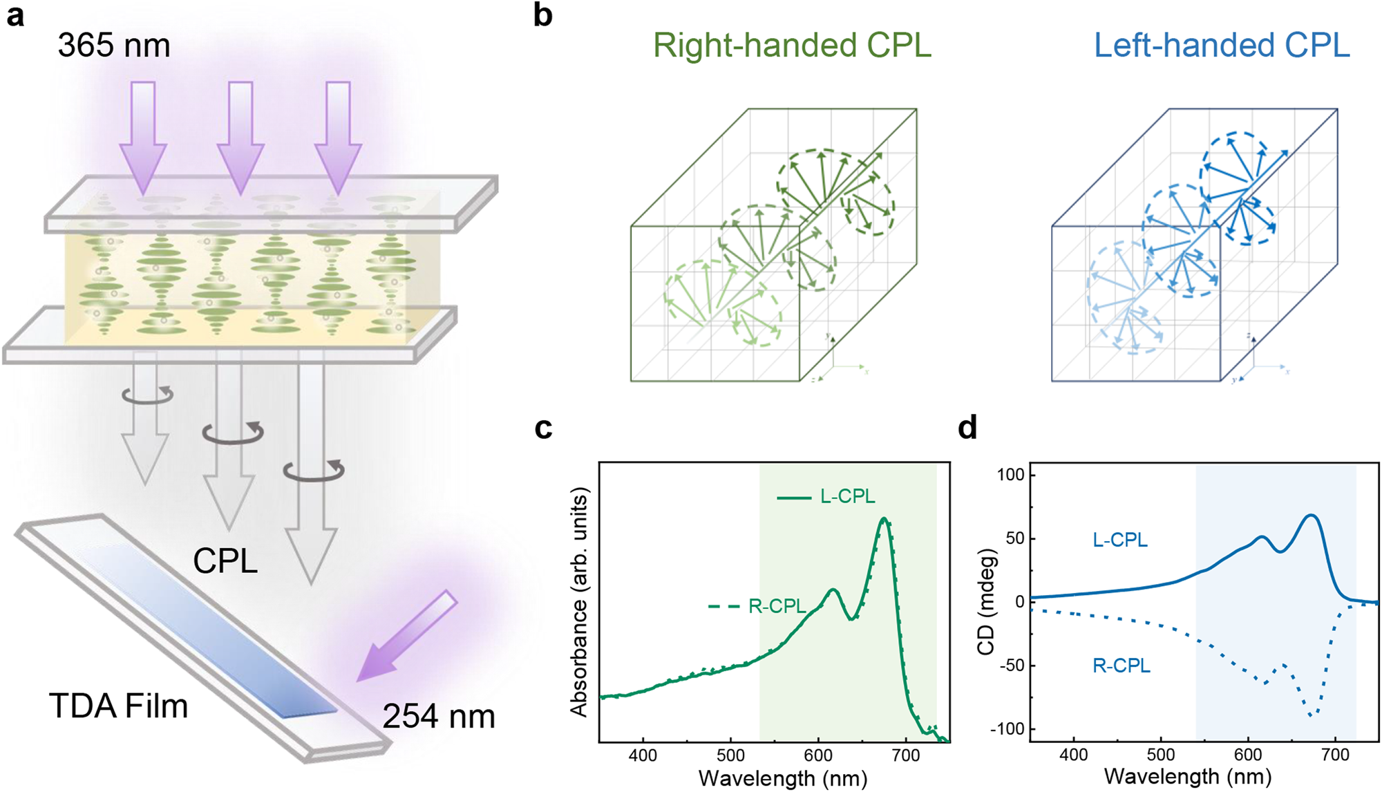 Fig. 4: Enantioselective polymerization of 10,12-tricosadiynoic acid (TDA) using the spiral full-color emission generator (SFEG).