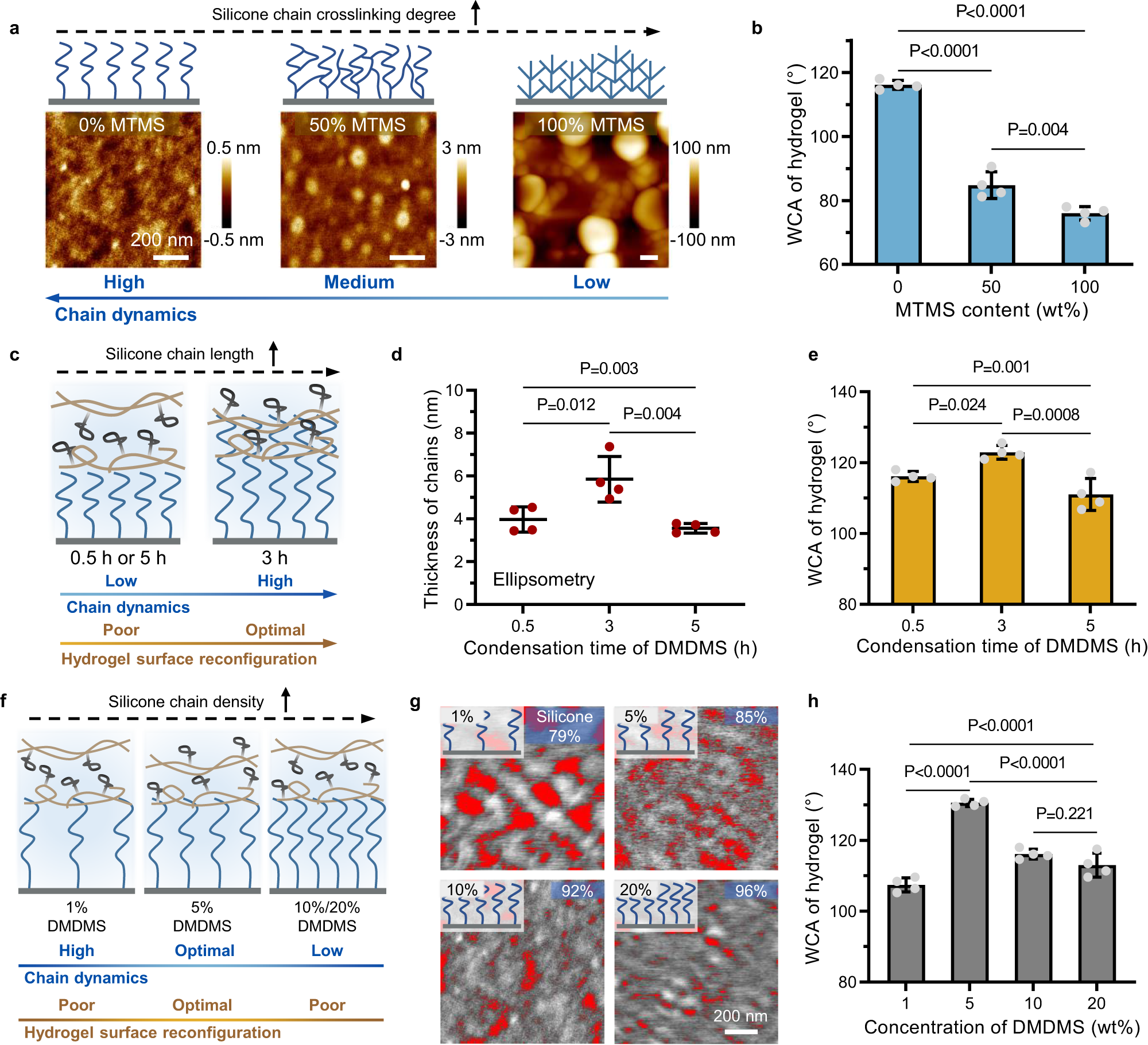 Fig. 2: The structural dynamics of silicone chains grafted on the mold surface is essential to hydrogel surface network reconfiguration.