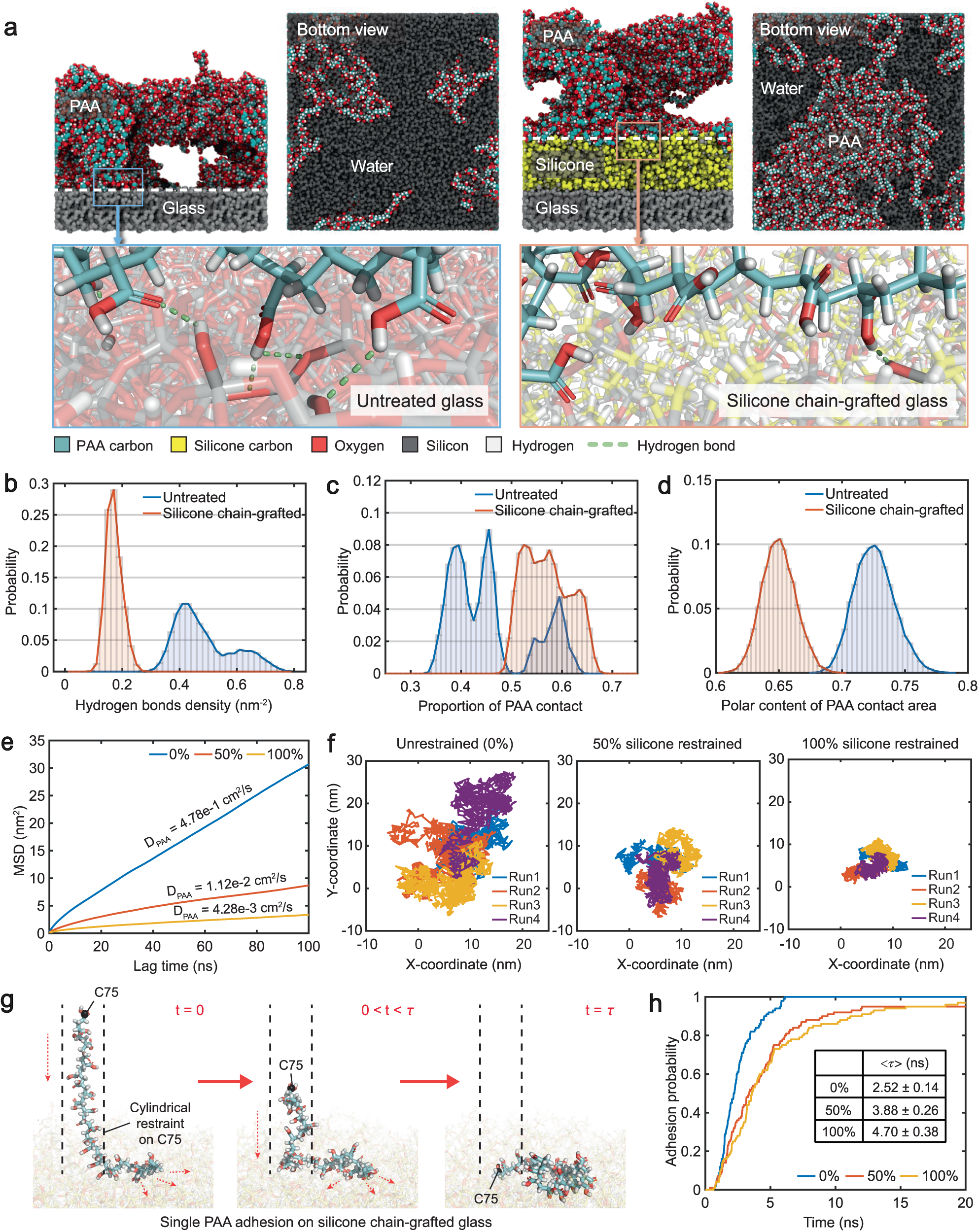 Fig. 3: MD simulations of PAA hydrogel formation and diffusive dynamics on untreated glass and silicone chain-grafted glass.