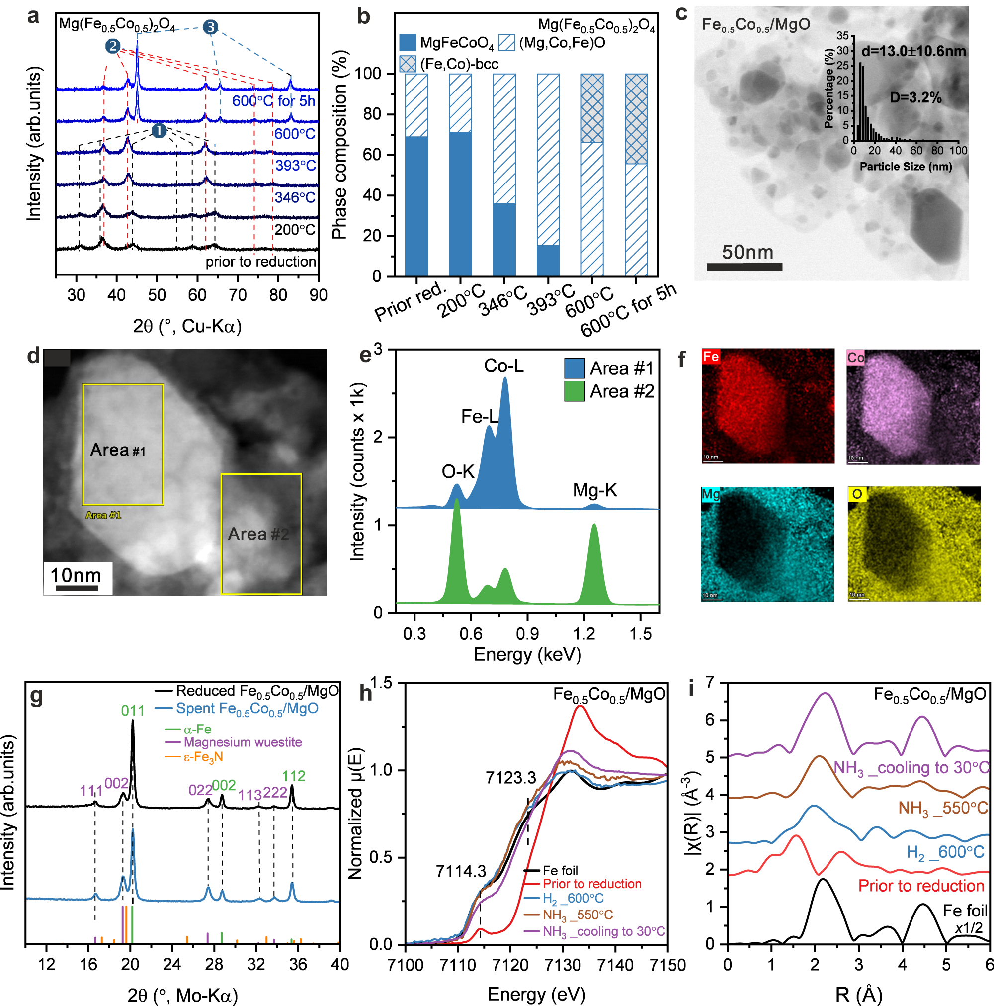 Fig. 3: Structural properties of the Fe0.5Co0.5/MgO catalyst.
