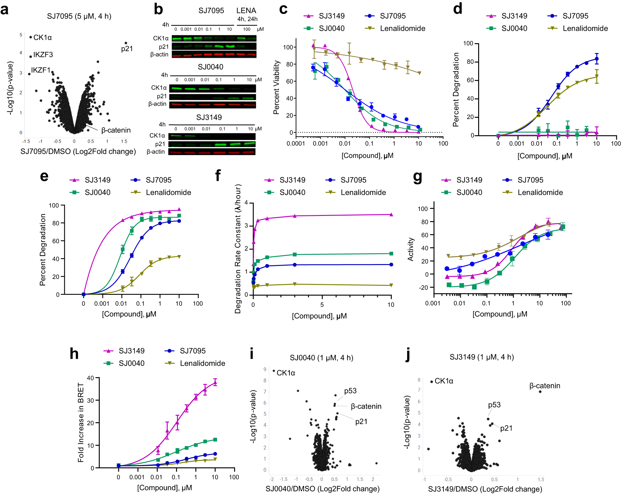 Fig. 2: Degradation profiles of hit and leads.
