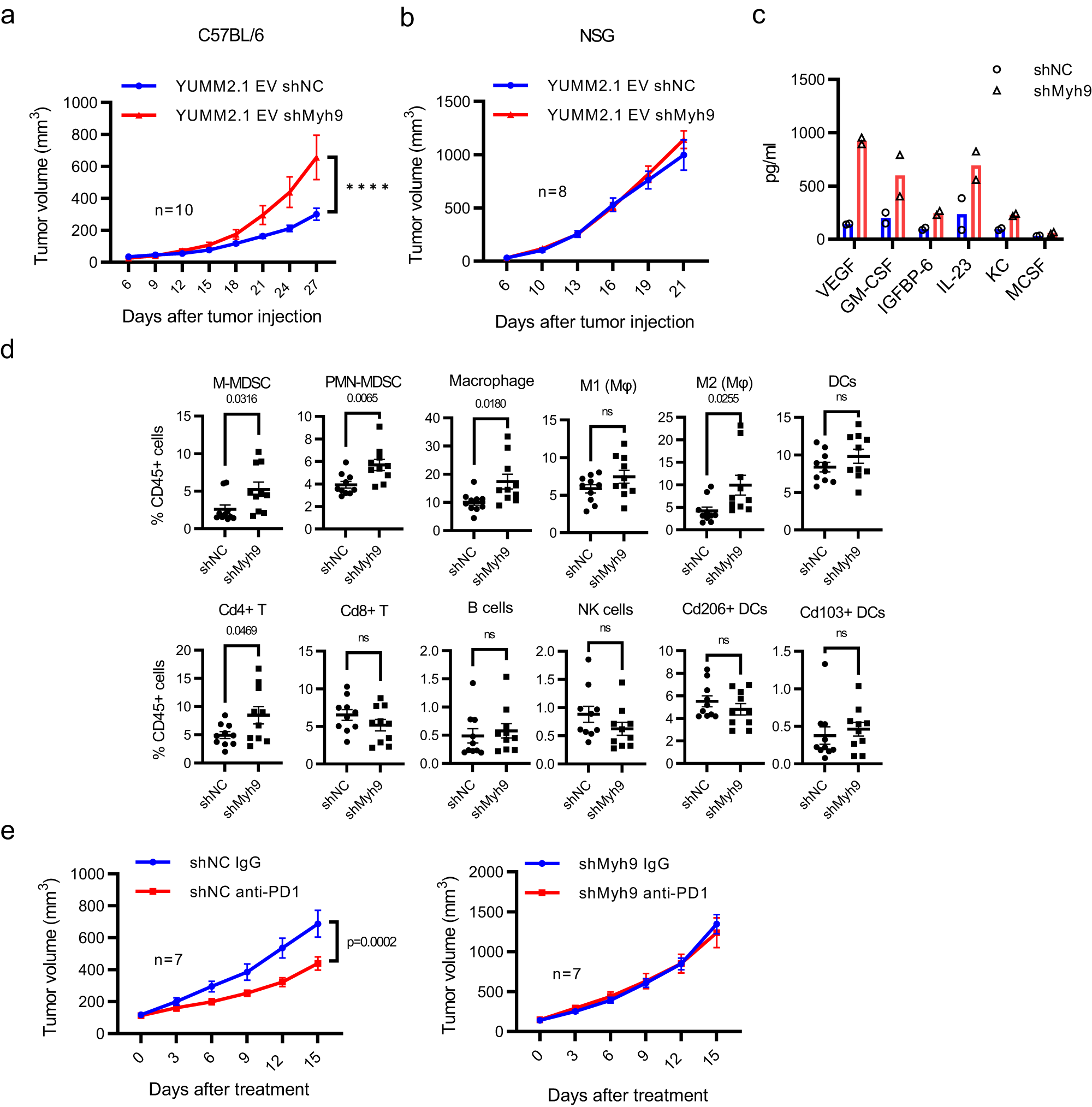 Fig. 7: Loss of Myh9 Affects Immune infiltration and Increases Tumorigenesis of YUMM2.1.