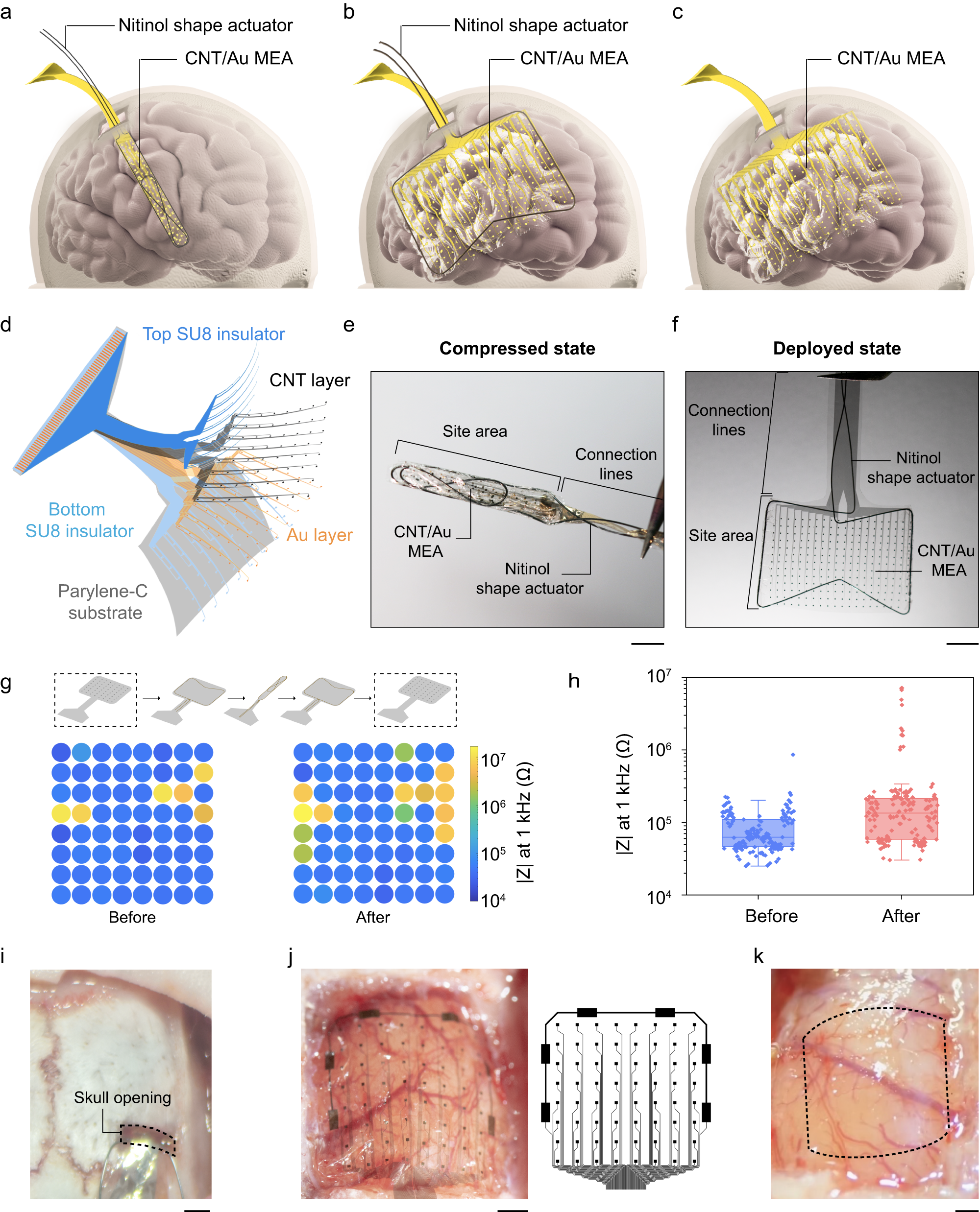 Shape-changing electrode array for minimally invasive large-scale 