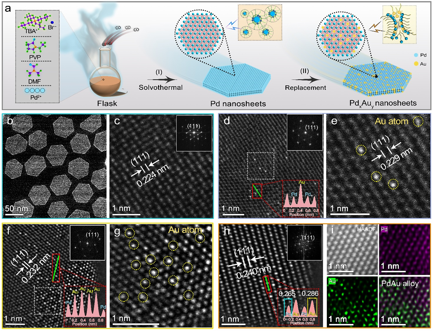 Fig. 1: Synthesis and morphology characterization.