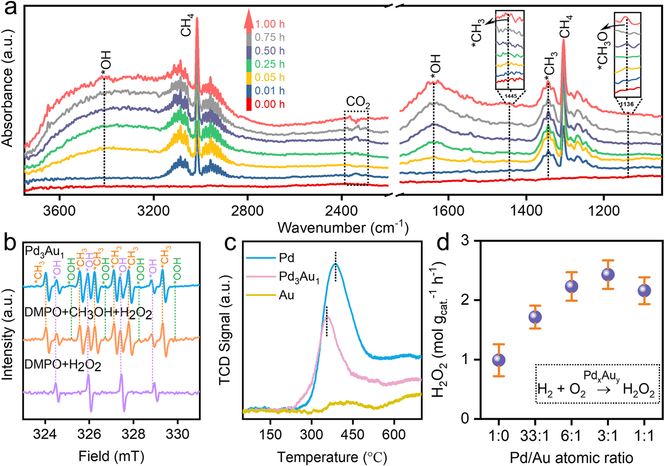 Fig. 4: DOMM mechanism.
