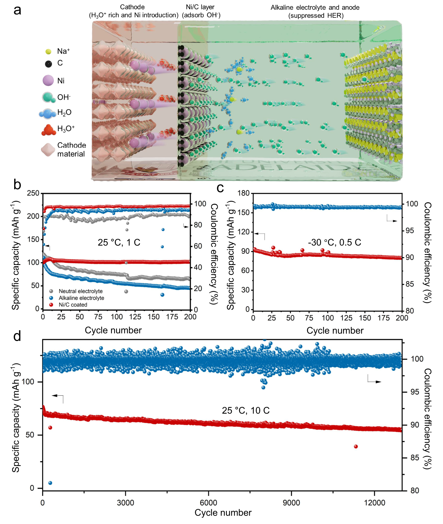 Fig. 1: Electrochemical performance of NMF//NTP coin cells in the range of 0.5 to 2.2 V.