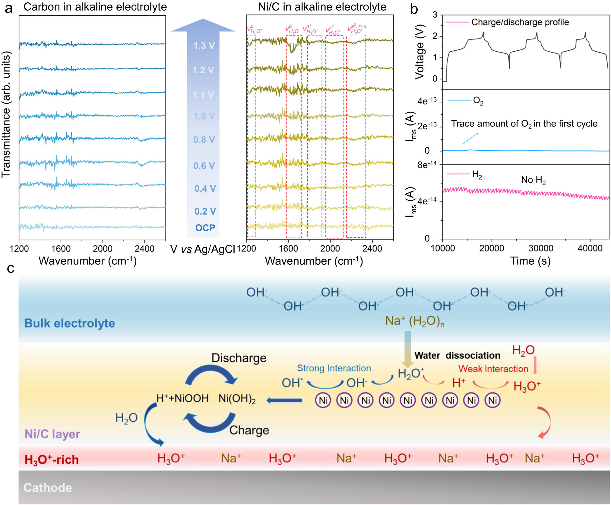 Fig. 3: Generation of H3O+-rich micro-environment.