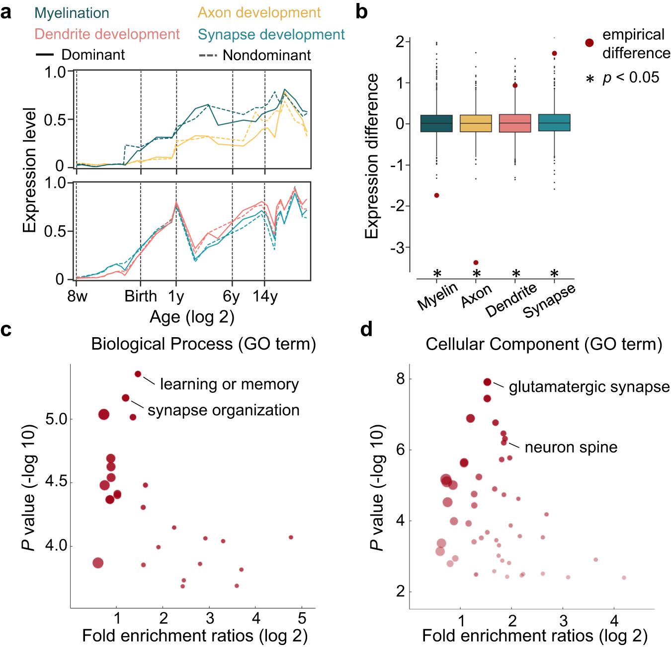 Fig. 7: Association between regional heterogeneous constraints and gene expression profiles.