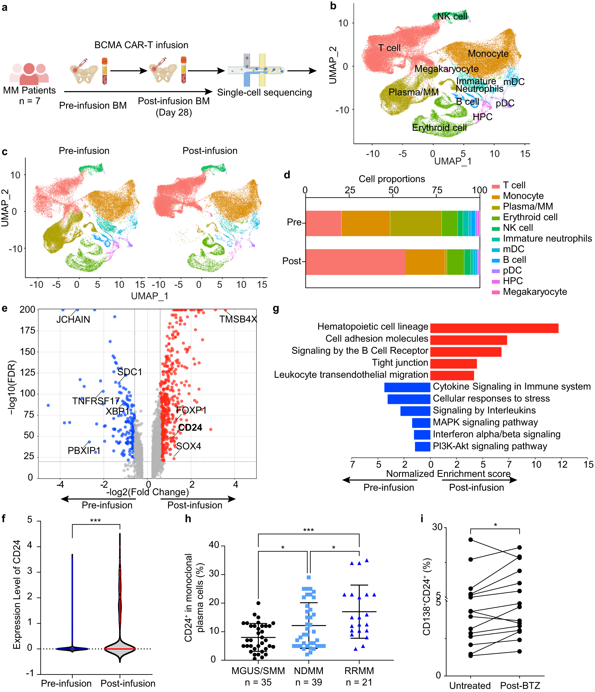 Bispecific BCMA/CD24 CAR-T cells control multiple myeloma growth 