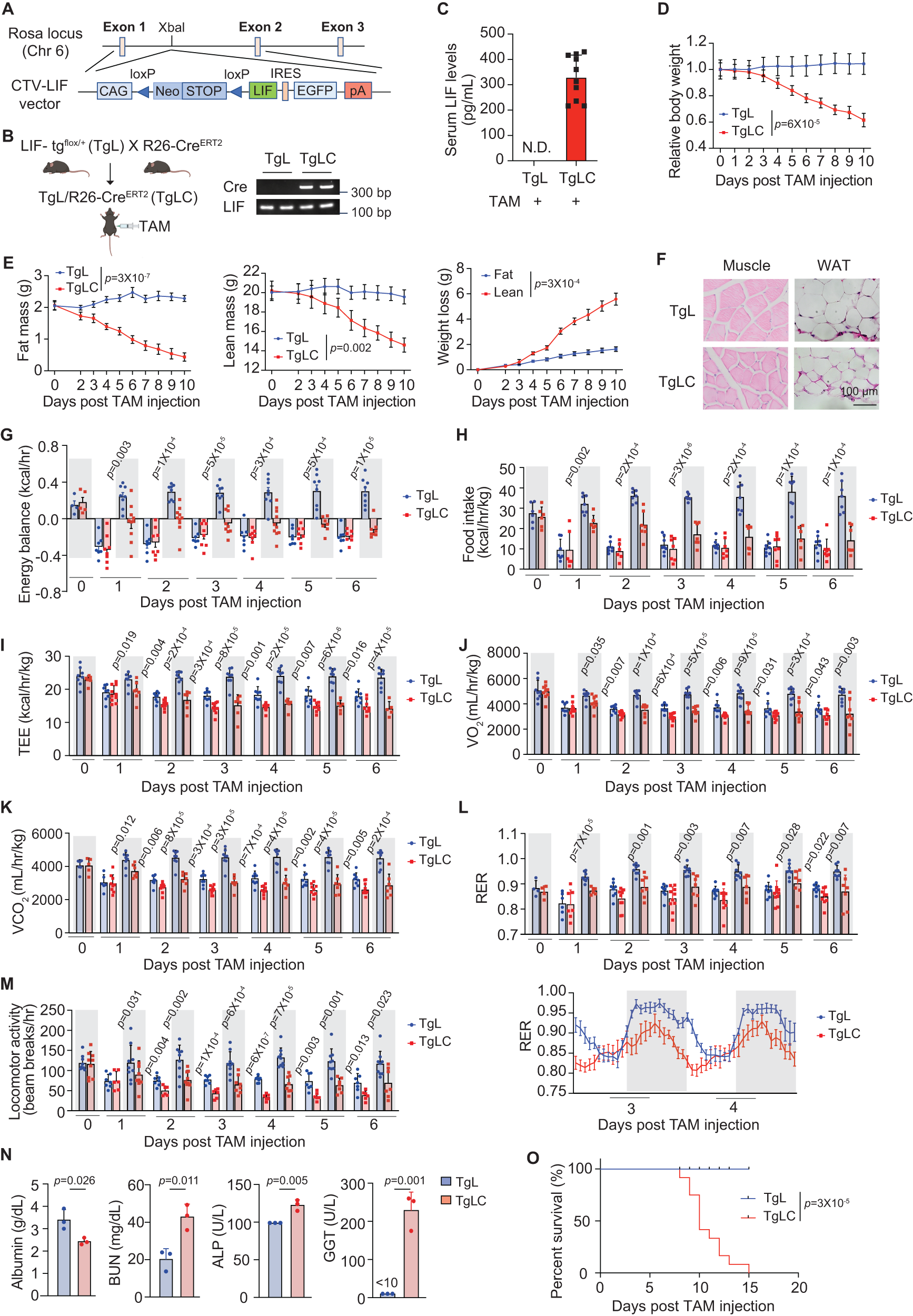 Leukemia inhibitory factor suppresses hepatic de novo lipogenesis and  induces cachexia in mice | Nature Communications