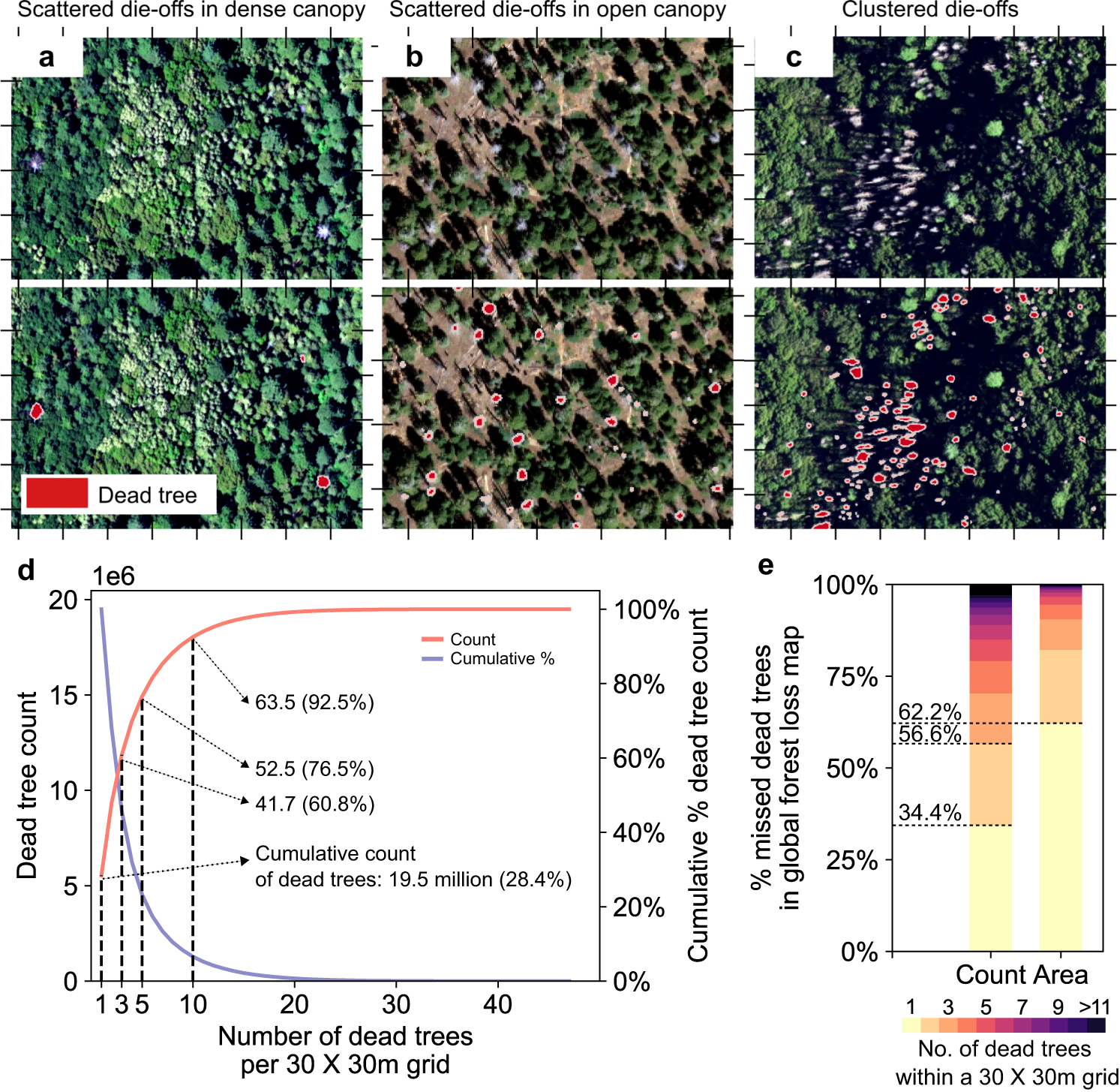 Fig. 2: Contribution of isolated and scattered dead trees.
