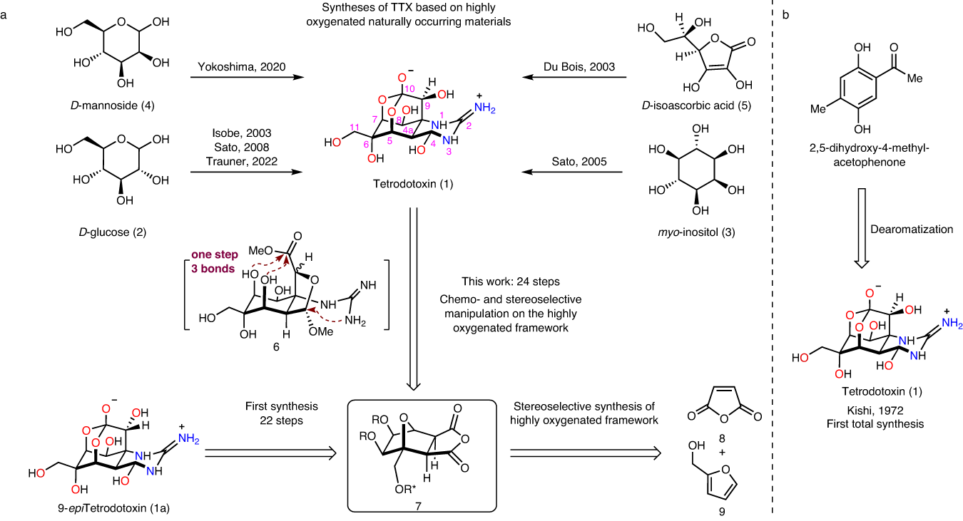 The Chemical Synthesis of Tetrodoxin: An Ongoing Quest – topic of