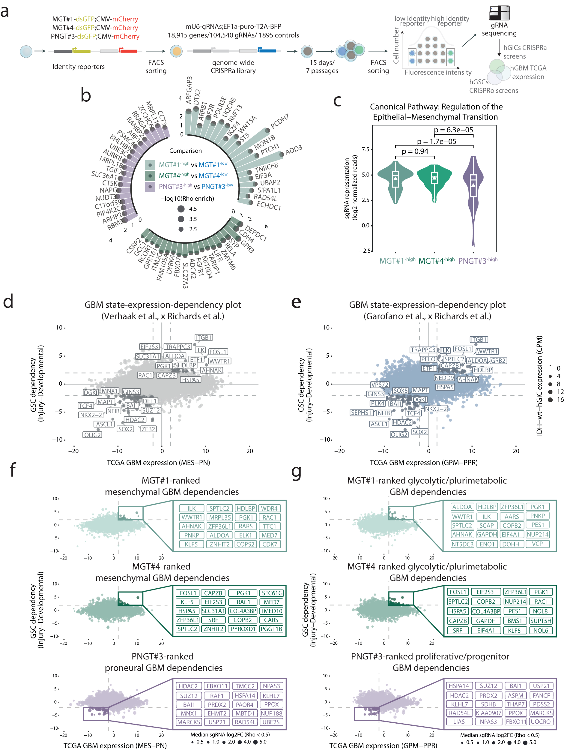 Fig. 6: Convergence of LSD, genome-wide CRISPR activation and patients' datasets towards the discovery of cell-state-specific drivers.