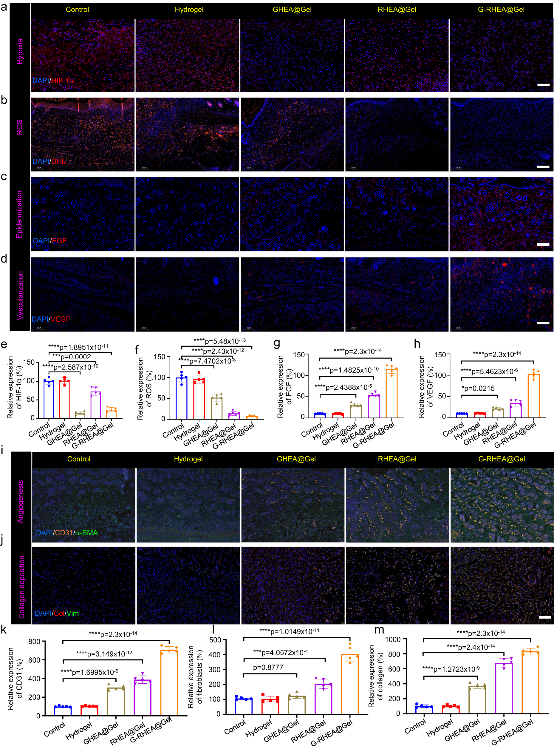 Fig. 8: Analysis of the processes and mechanisms of wound healing for various treatments.