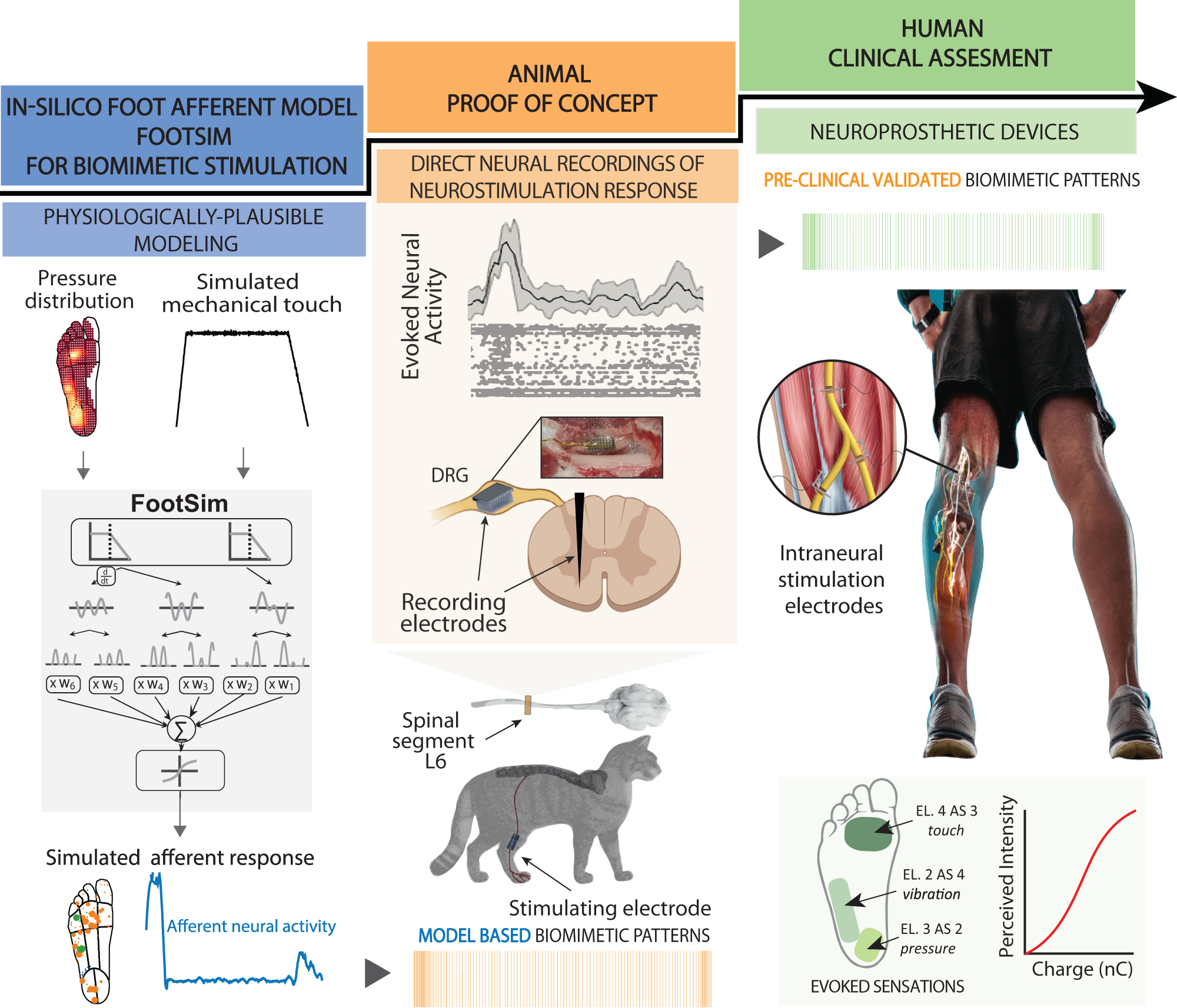 Biomimetic computer-to-brain communication enhancing naturalistic