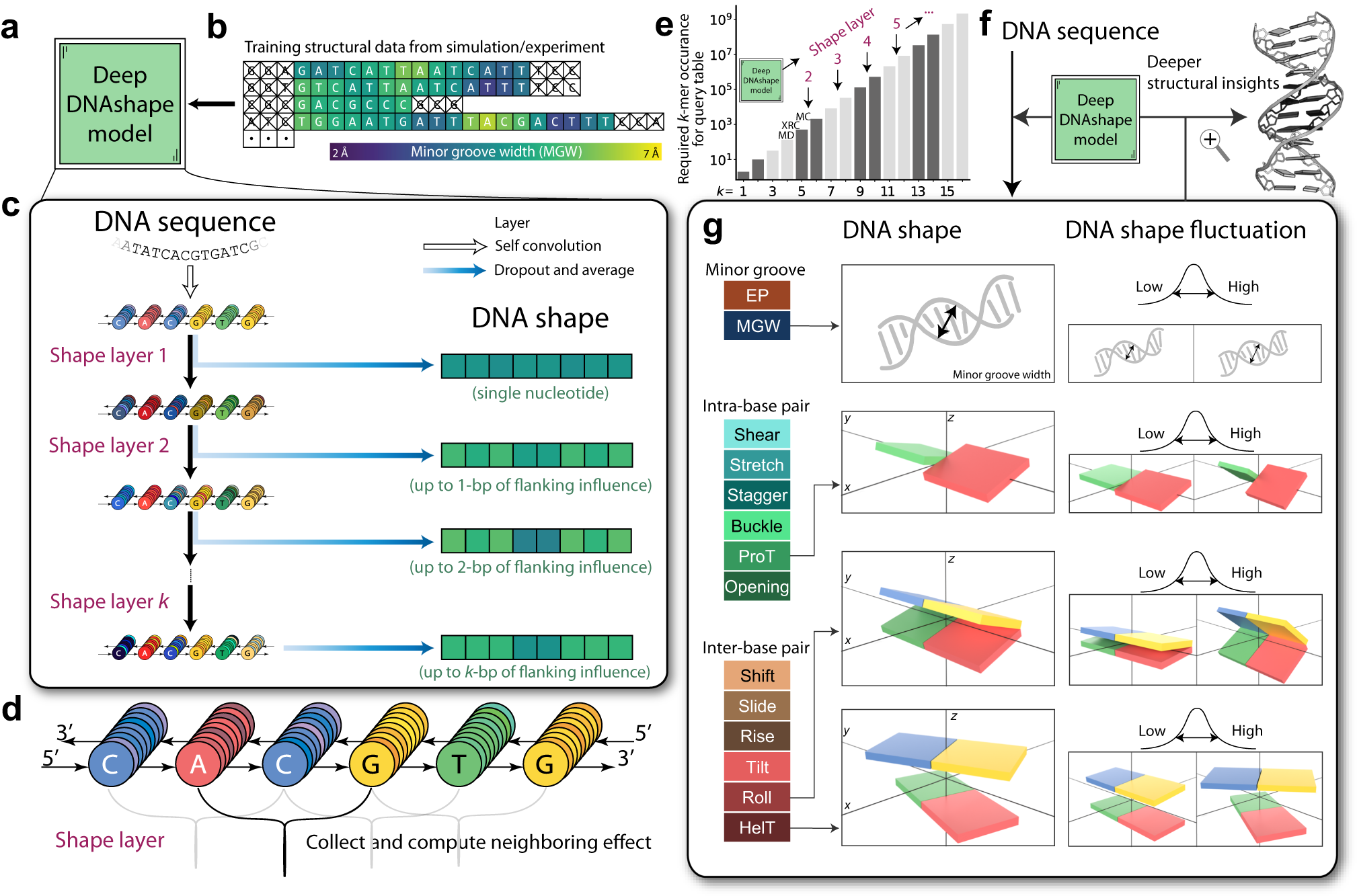Predicting DNA structure using a deep learning method | Nature 