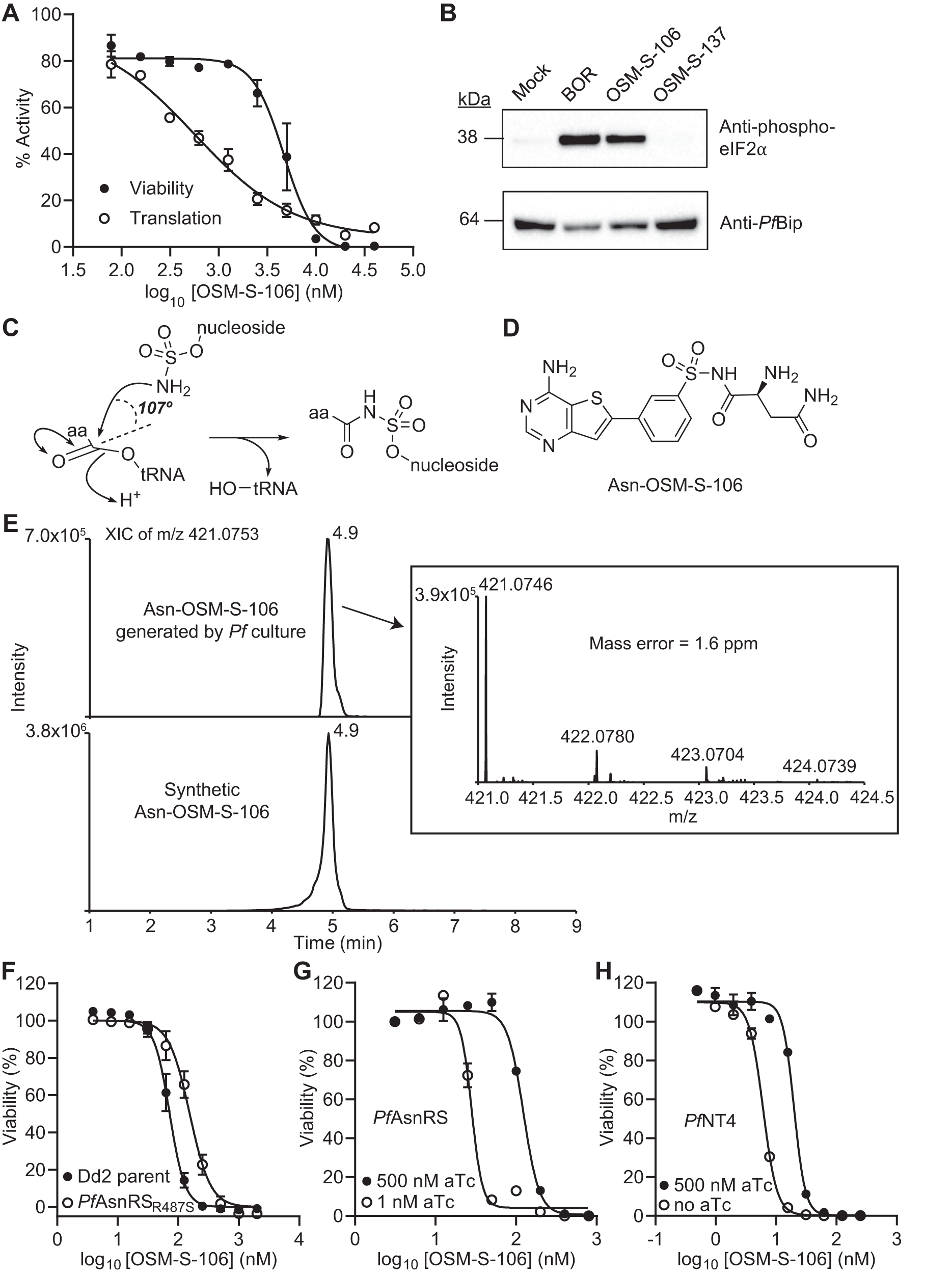 Fig. 2: Identification of the P. falciparum target of OSM-S-106.