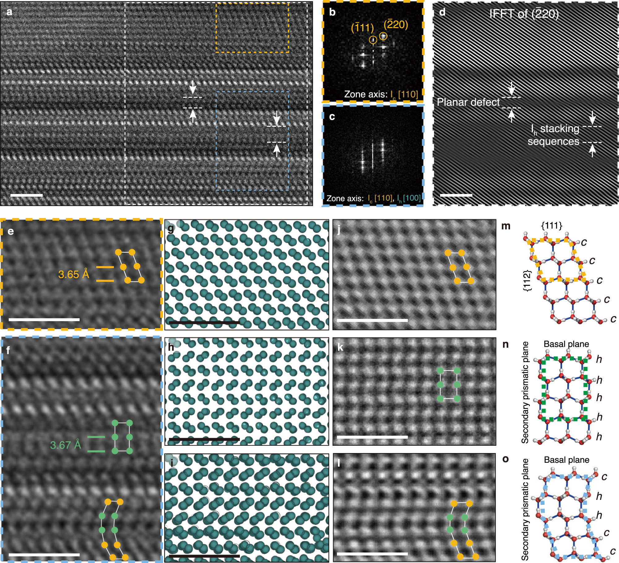 Fig. 2: The structure of the ice Ic+h domain.