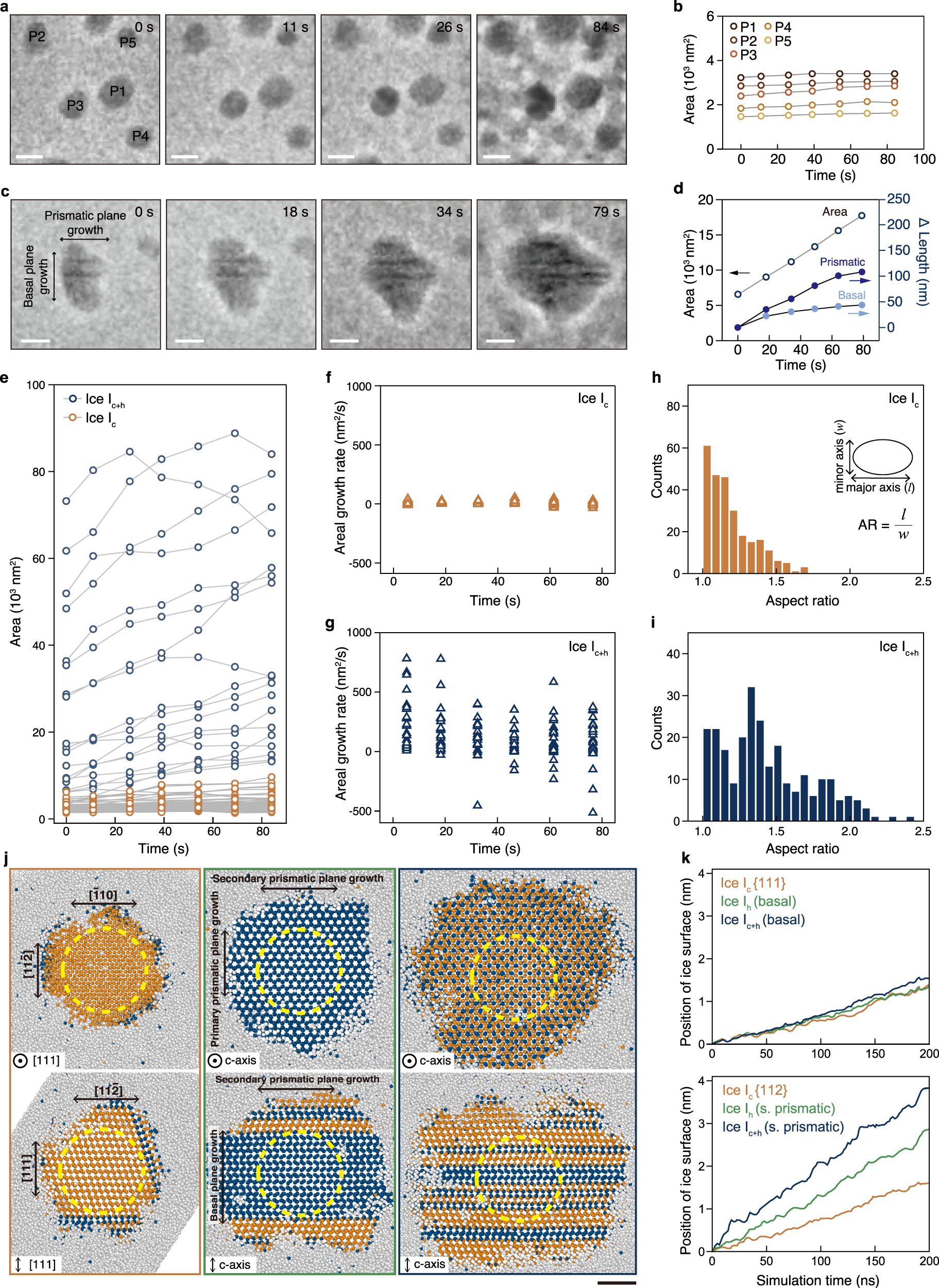 Fig. 3: Growth dynamics of ice nanocrystal polymorphs.