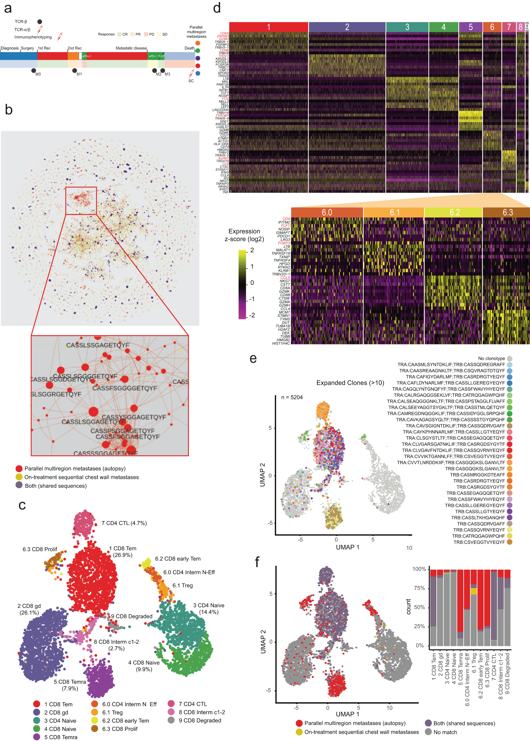 Fig. 2: Sequential TCR repertoires evolve over time leading to mixed dysfunctional single T cell states.