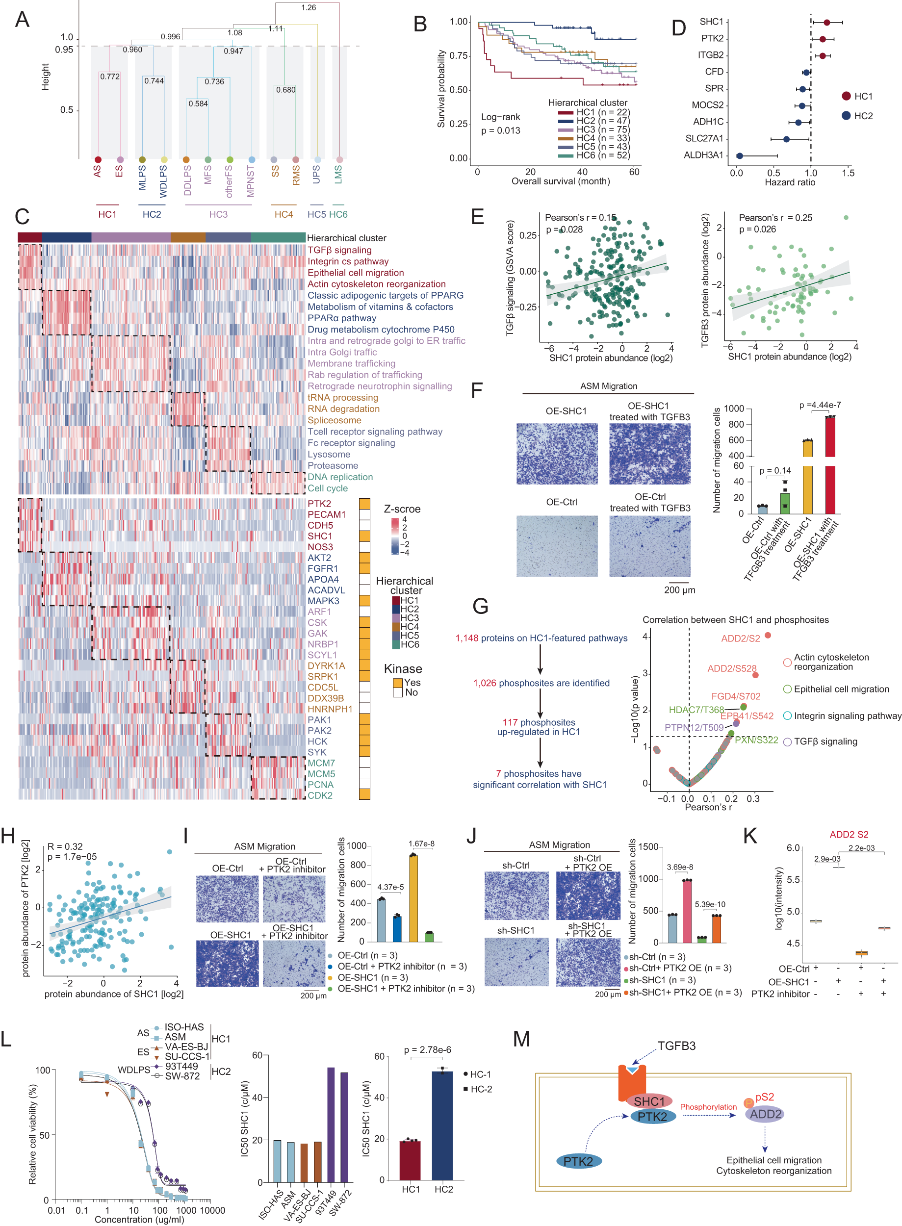 Fig. 2: Hierarchical clusters of STS histological subtypes.