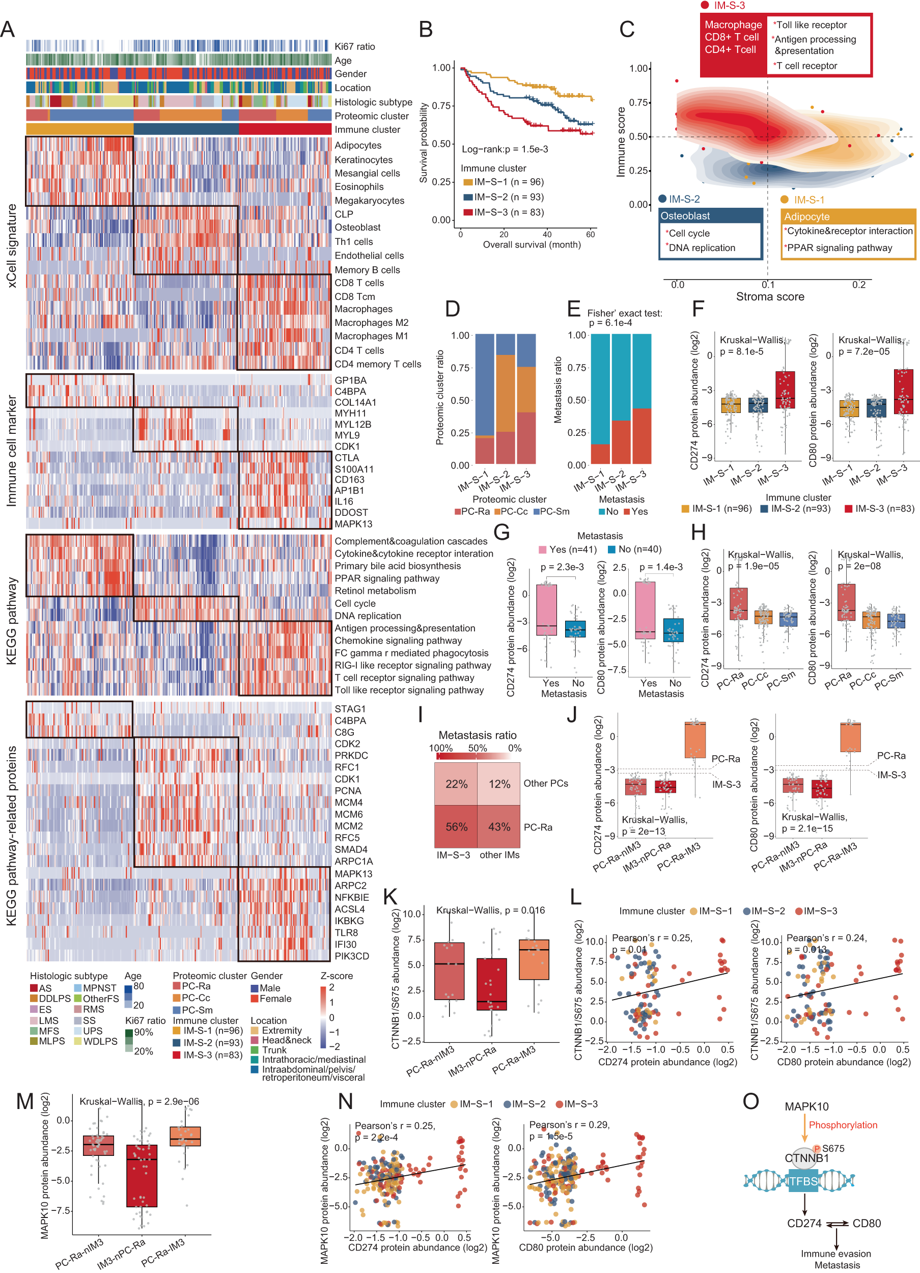 Fig. 5: Immune subtypes of STS.