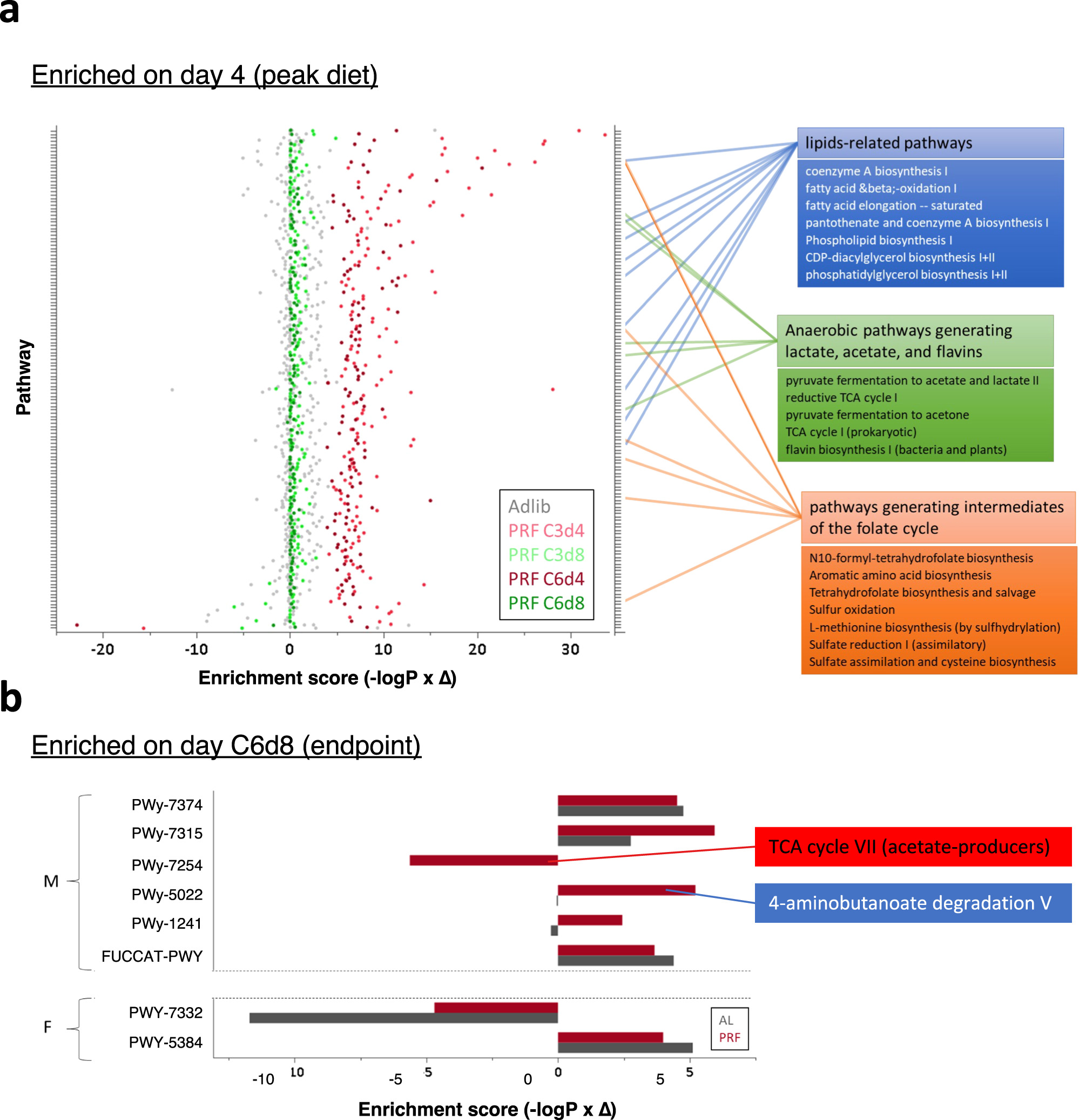 Fig. 4: Enriched metabolic pathways within the gut microbiome profile.