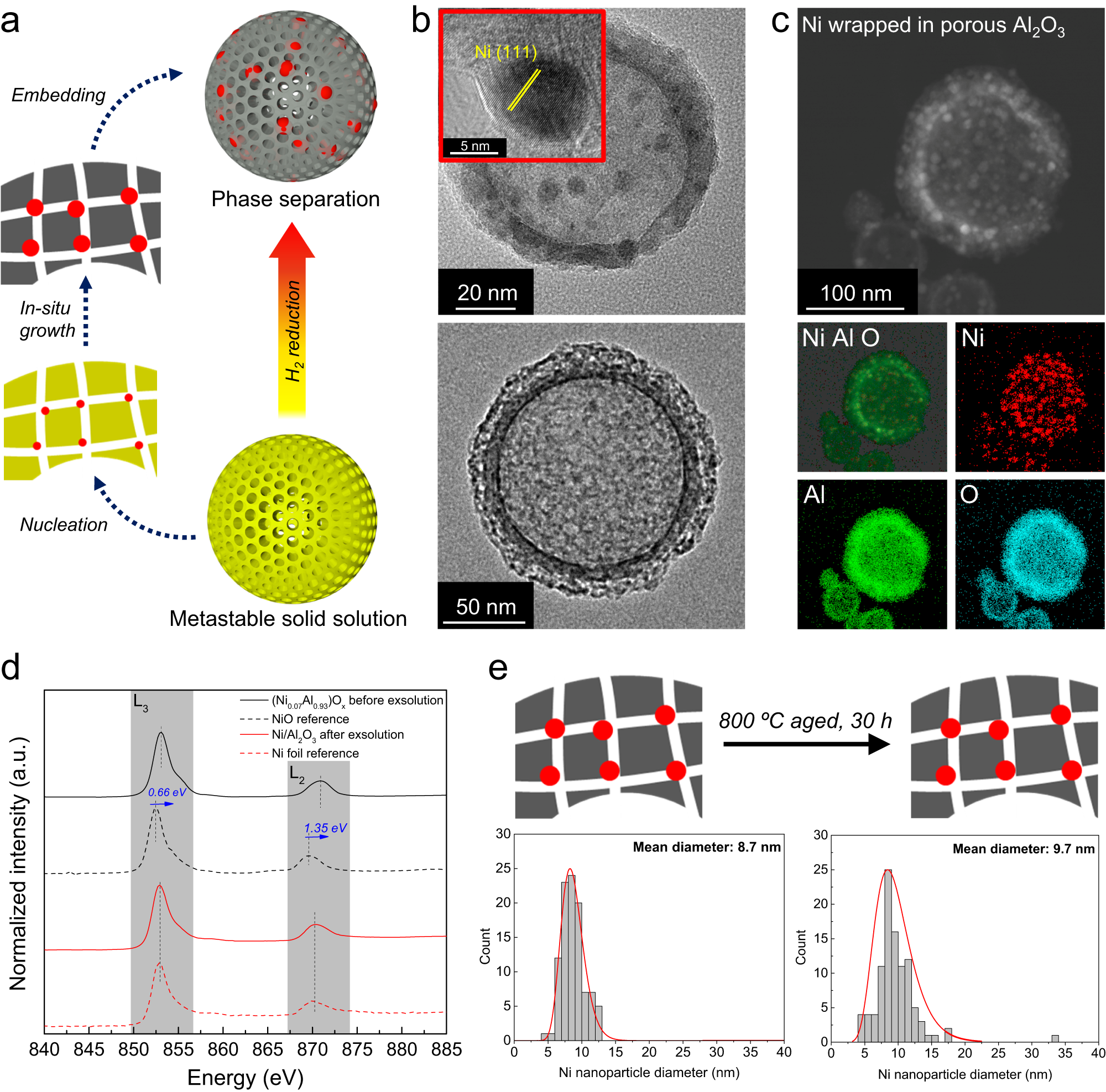 Fig. 5: Encapsulated exsolution behavior.
