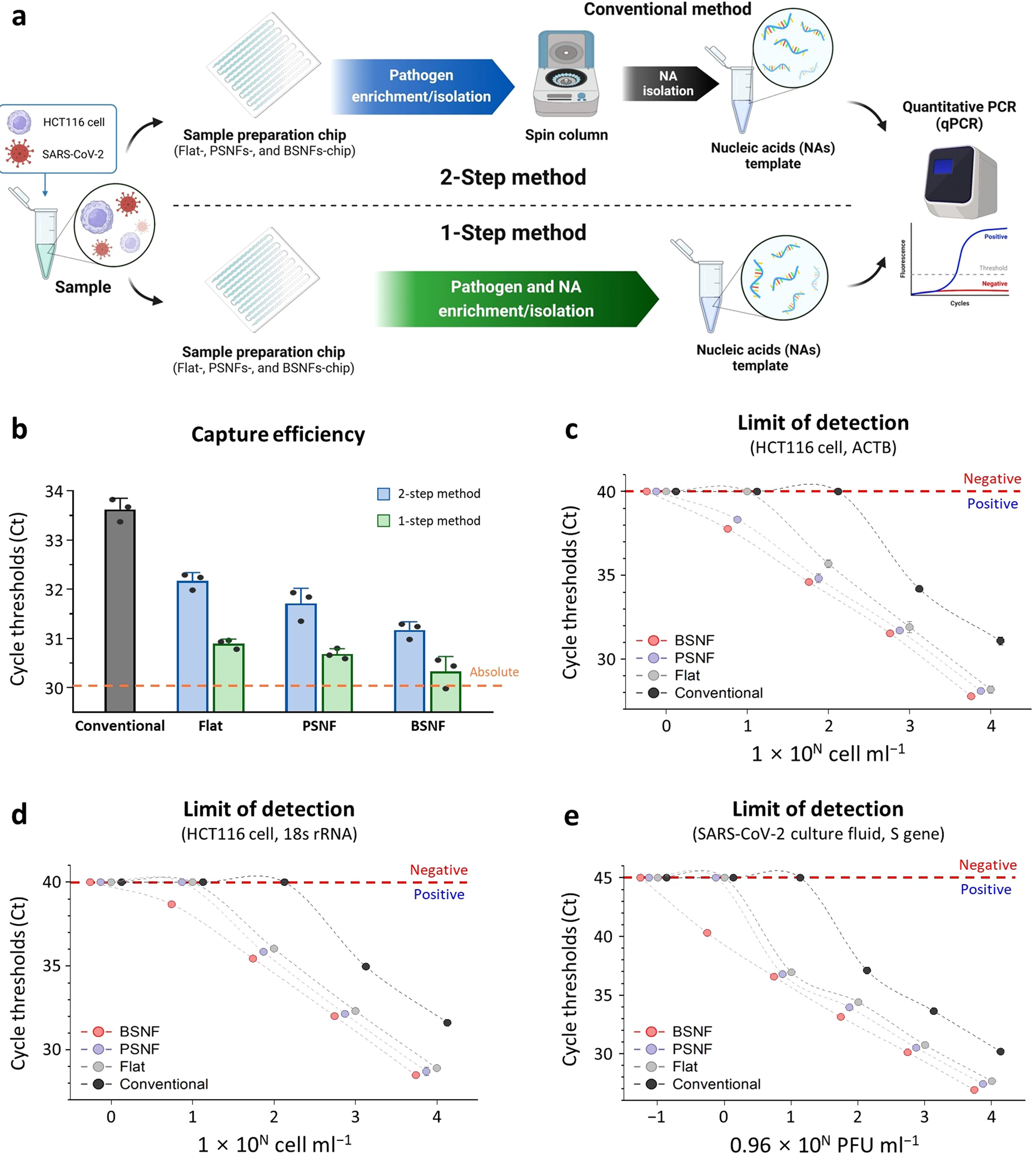 Fig. 4: Evaluation of pathogen and NA enrichment/isolation on a BSNFs-chip.