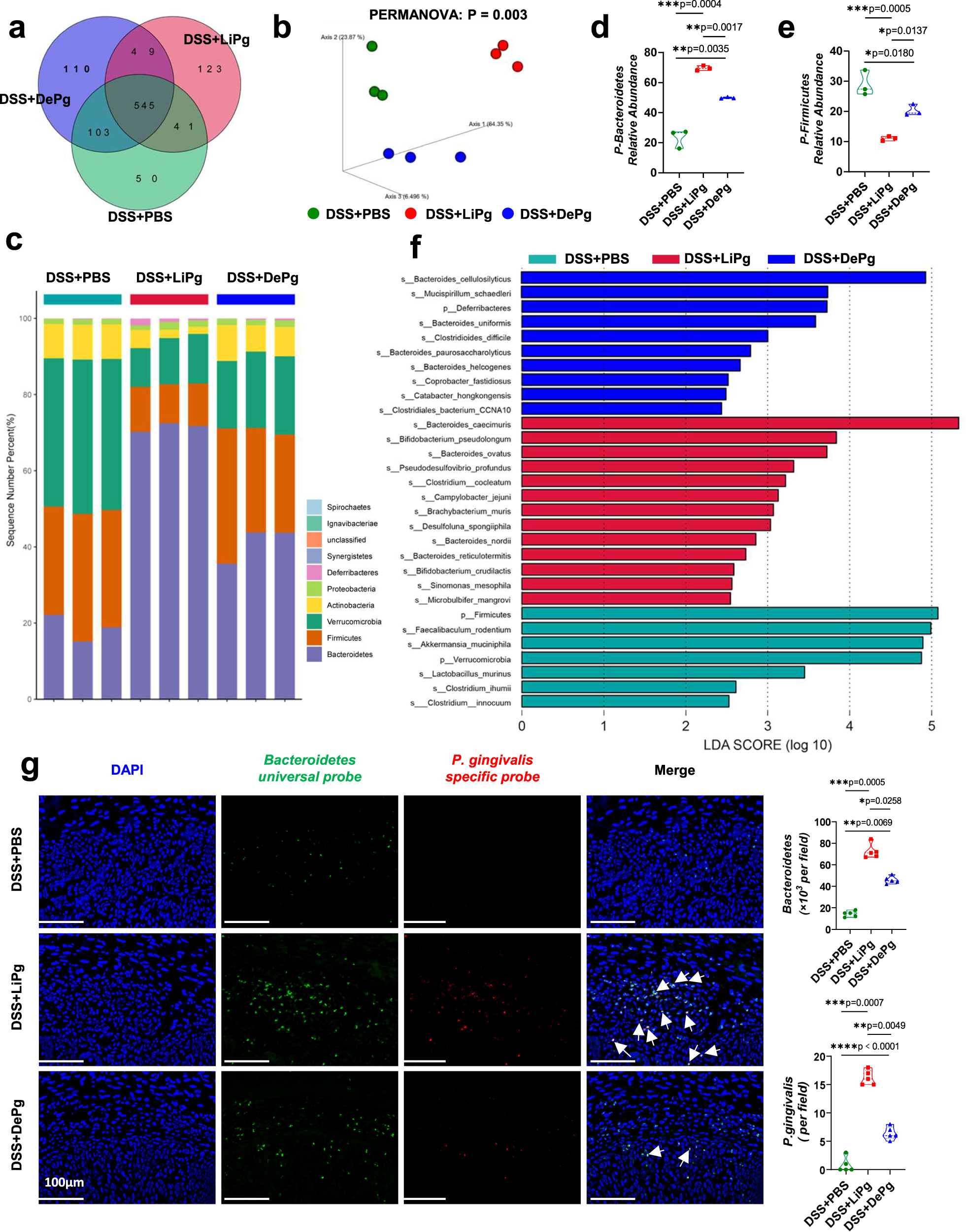 Fig. 3: Oral administration of Pg altered the gut microbiota composition.