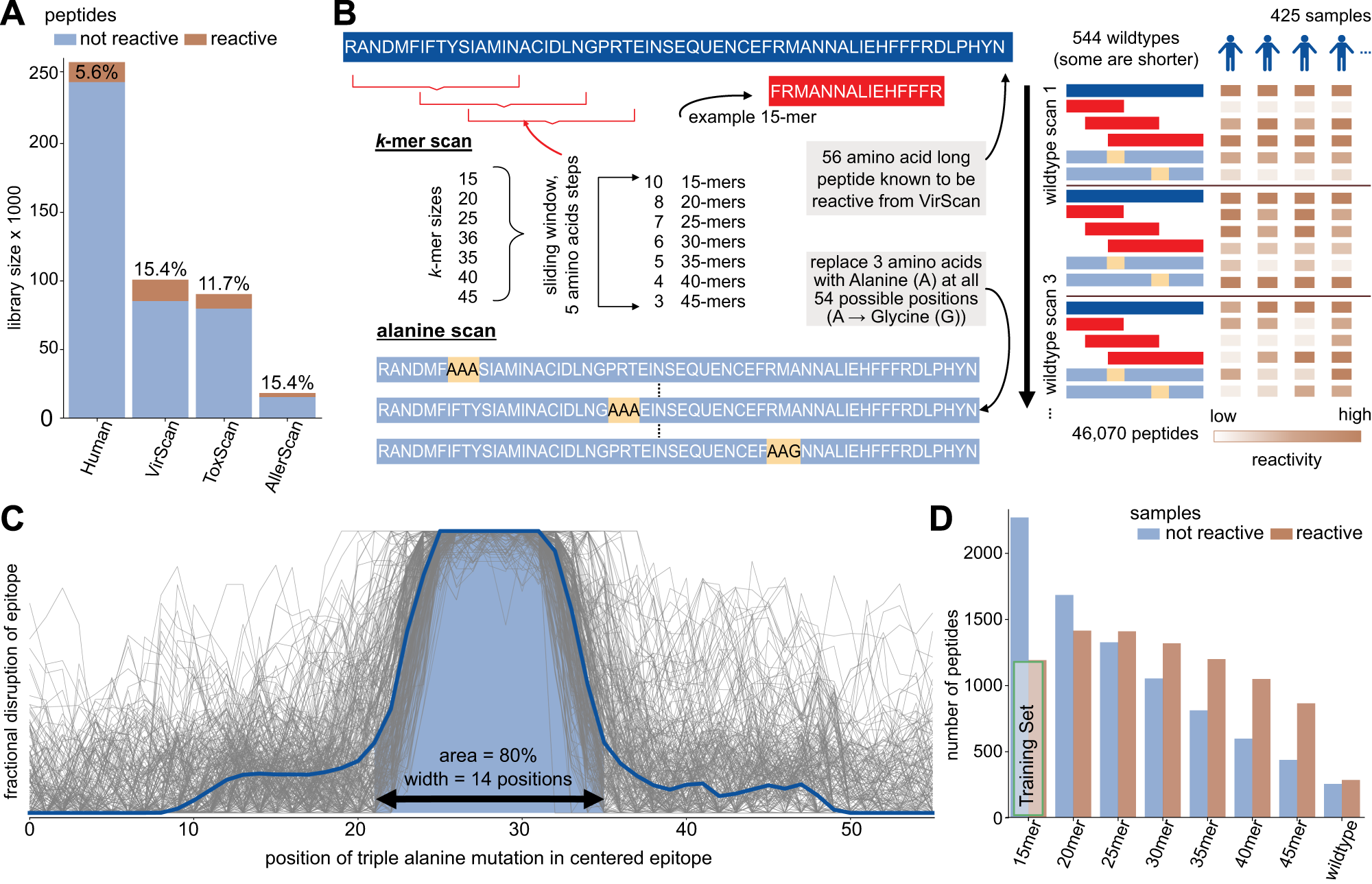 Fig. 1: Antibody epitope analysis using programmable phage display of peptide libraries.