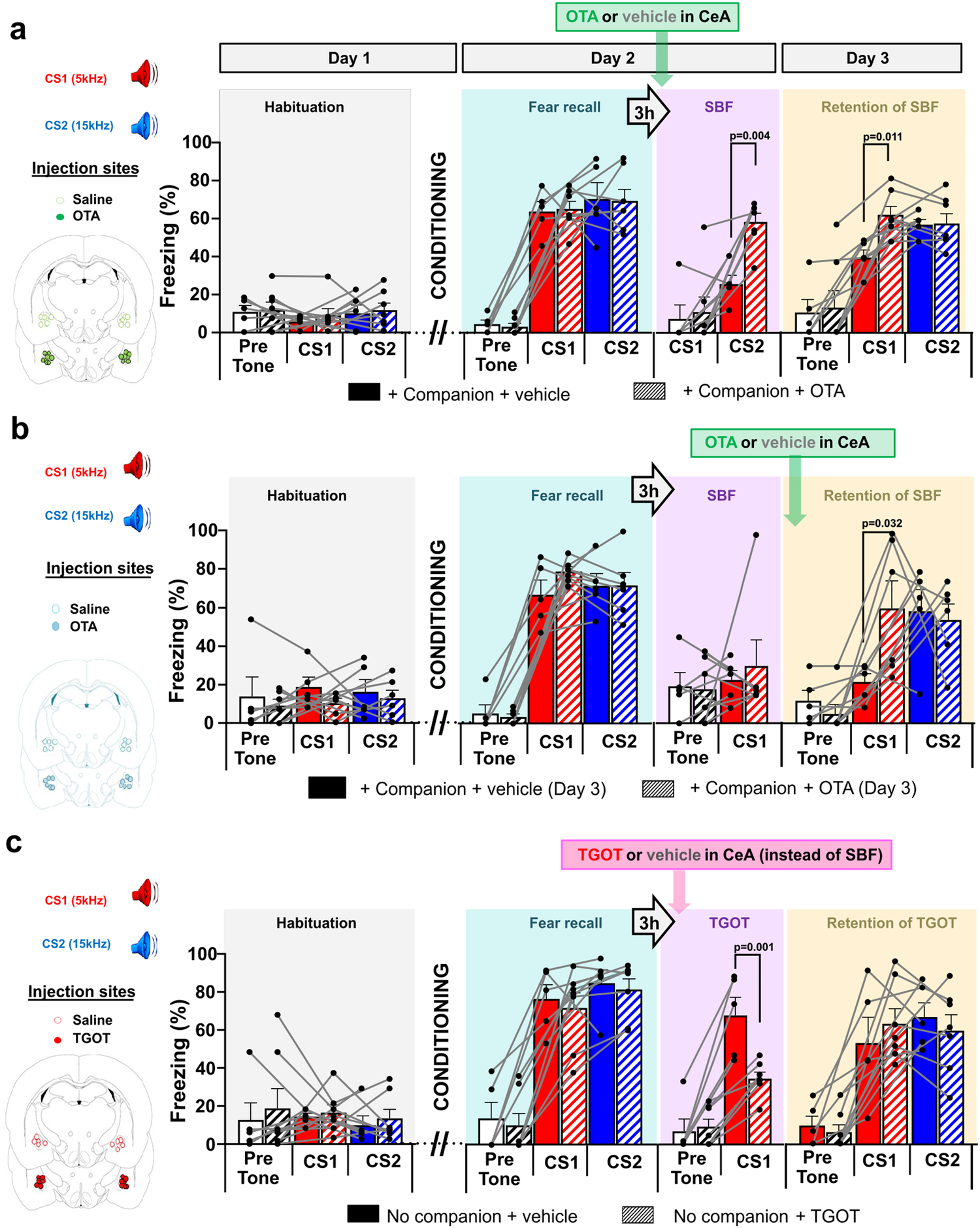 Fig. 2: Oxytocin receptor activation in the central amygdala (CeA) is required for the immediate and maintained fear-reducing effects of social buffering, and is sufficient for inducing immediate but not maintained reduction of fear.