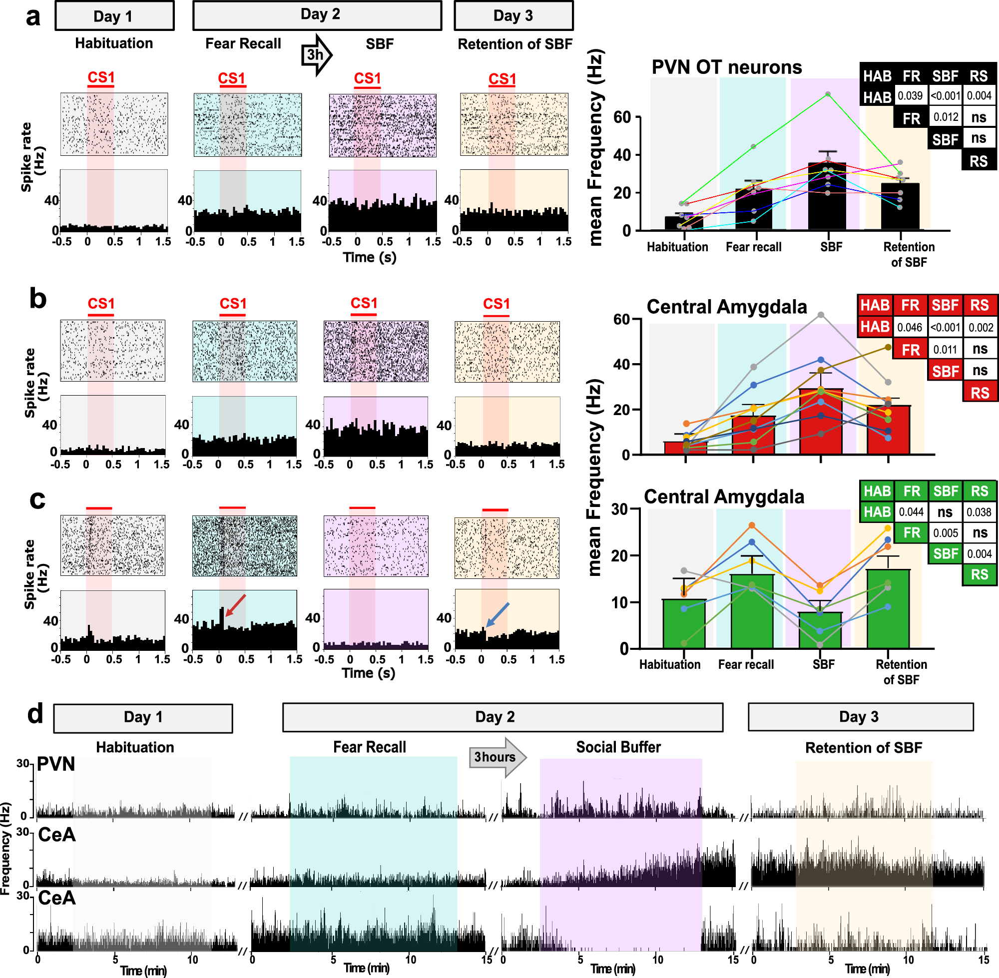 Fig. 5: Different development of neuronal spiking patterns in PVN and CeA across subsequent sessions of the SBF paradigm.