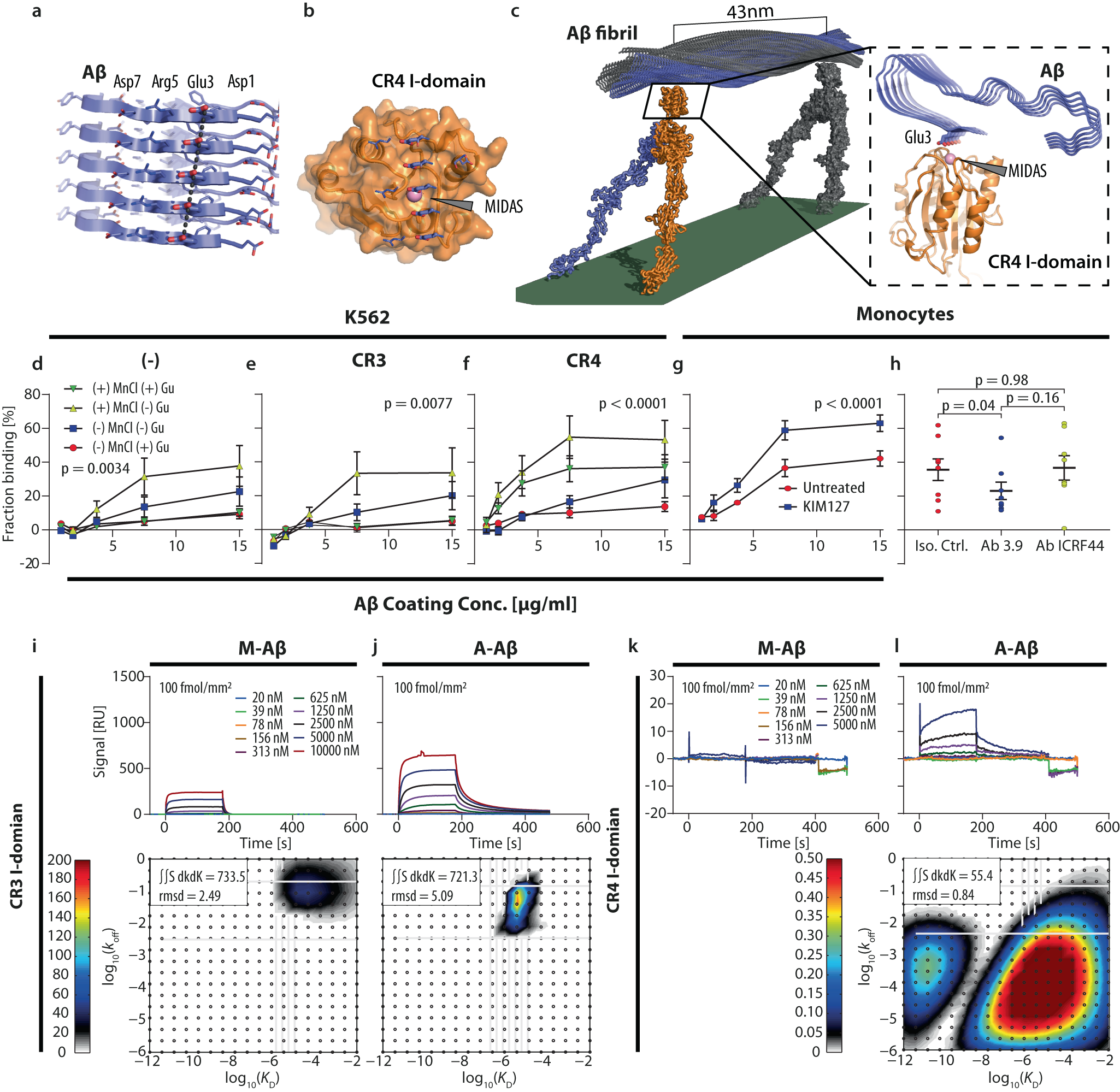 Fig. 5: CR4 binds preferentially aggregated Aβ.