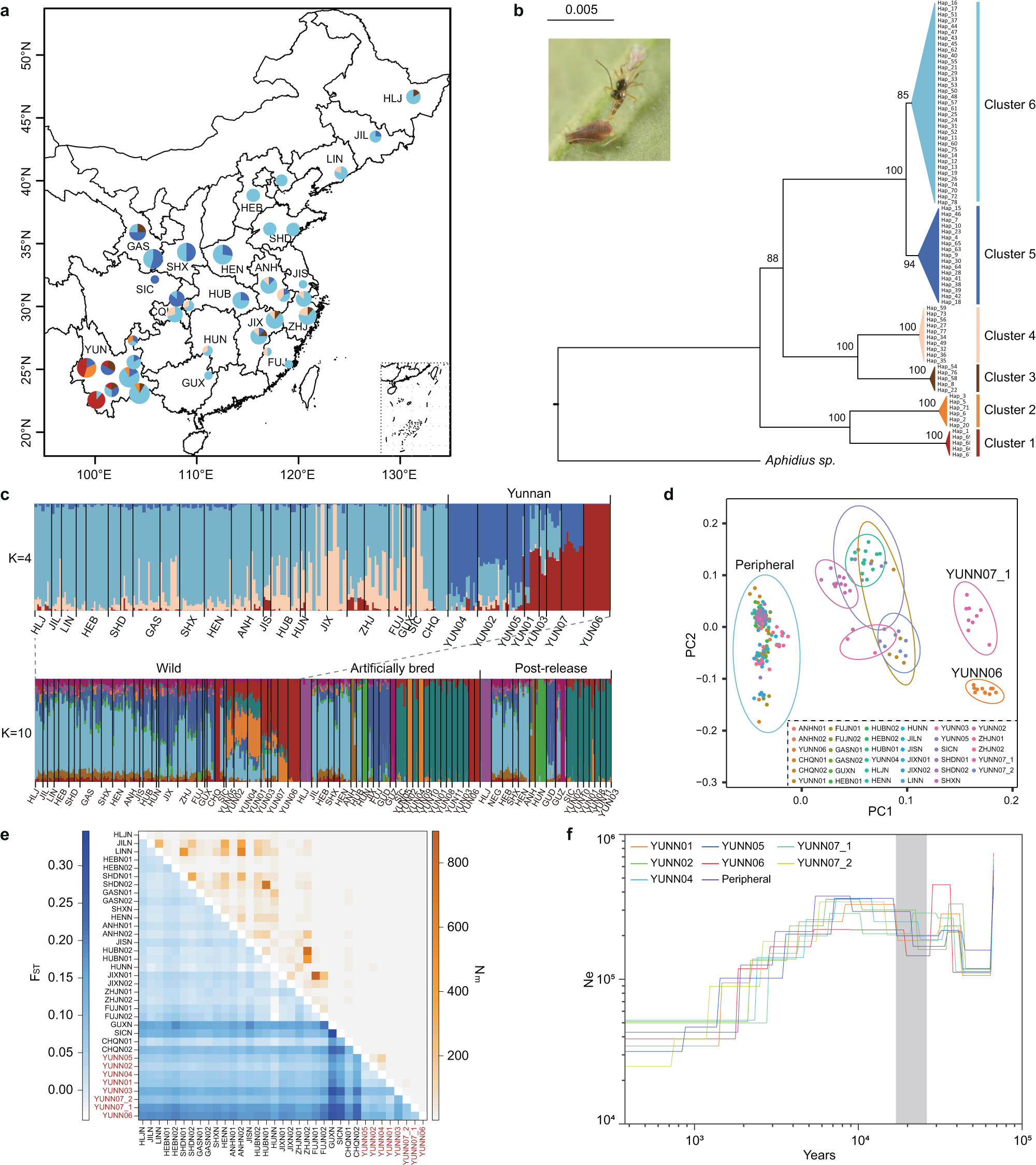 Fig. 1: Population structure and demographic history of wild A. gifuensis populations.