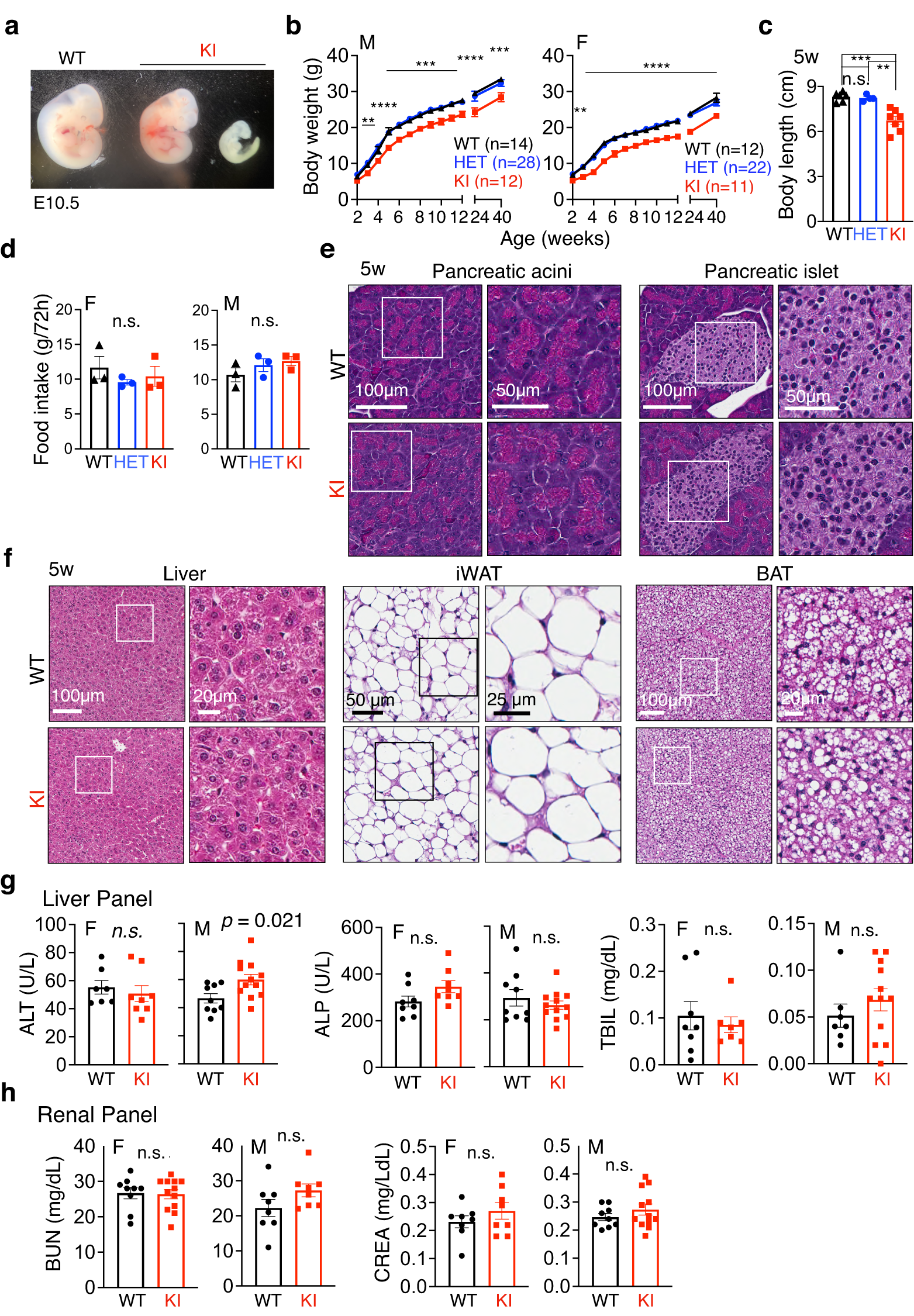 sel1l-hrd1-interaction-is-required-to-form-a-functional-hrd1-erad-complex-nature-communications