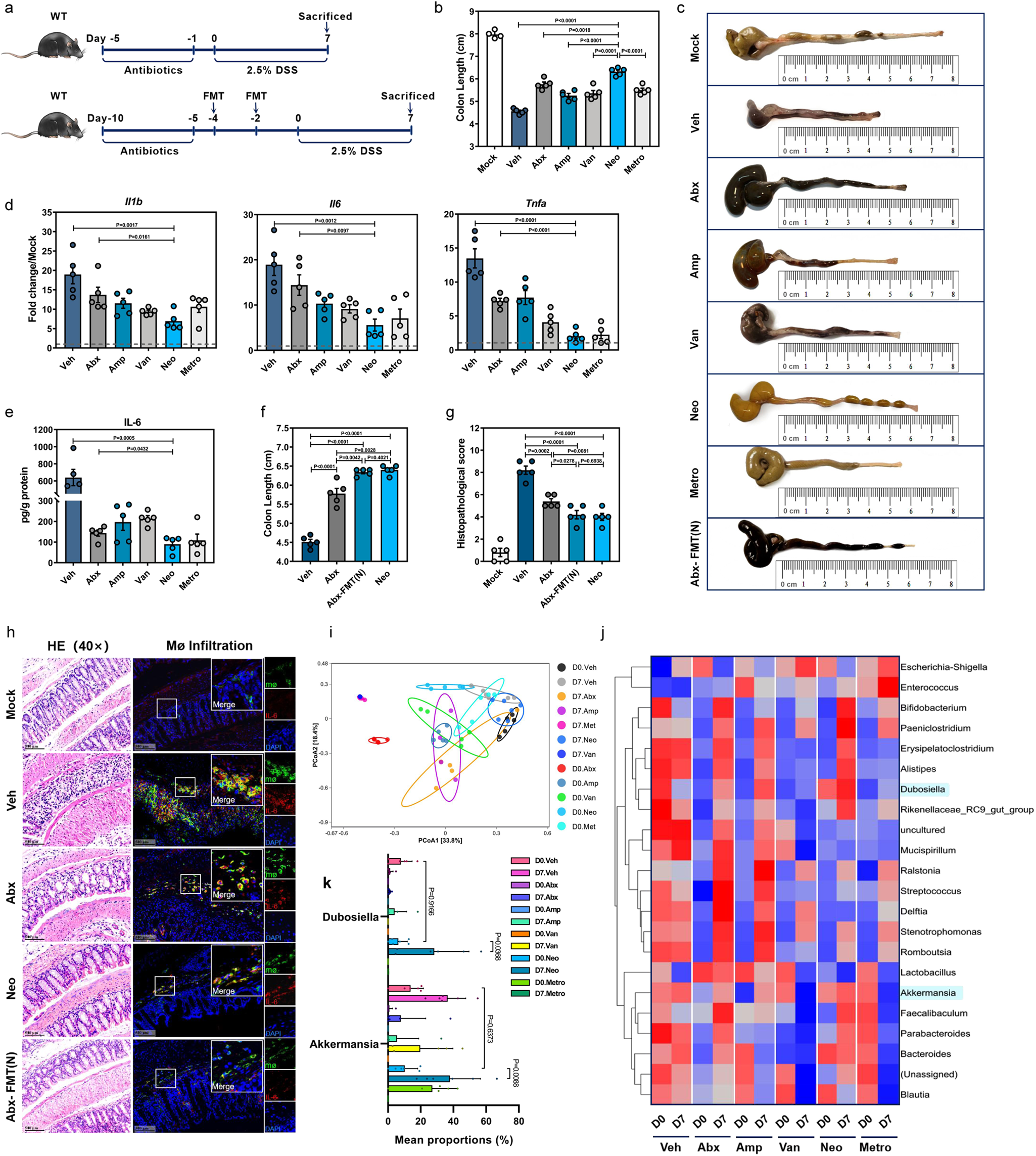Fig. 1: Manipulation of gut microbiota affects mouse susceptibility to DSS-induced colitis.