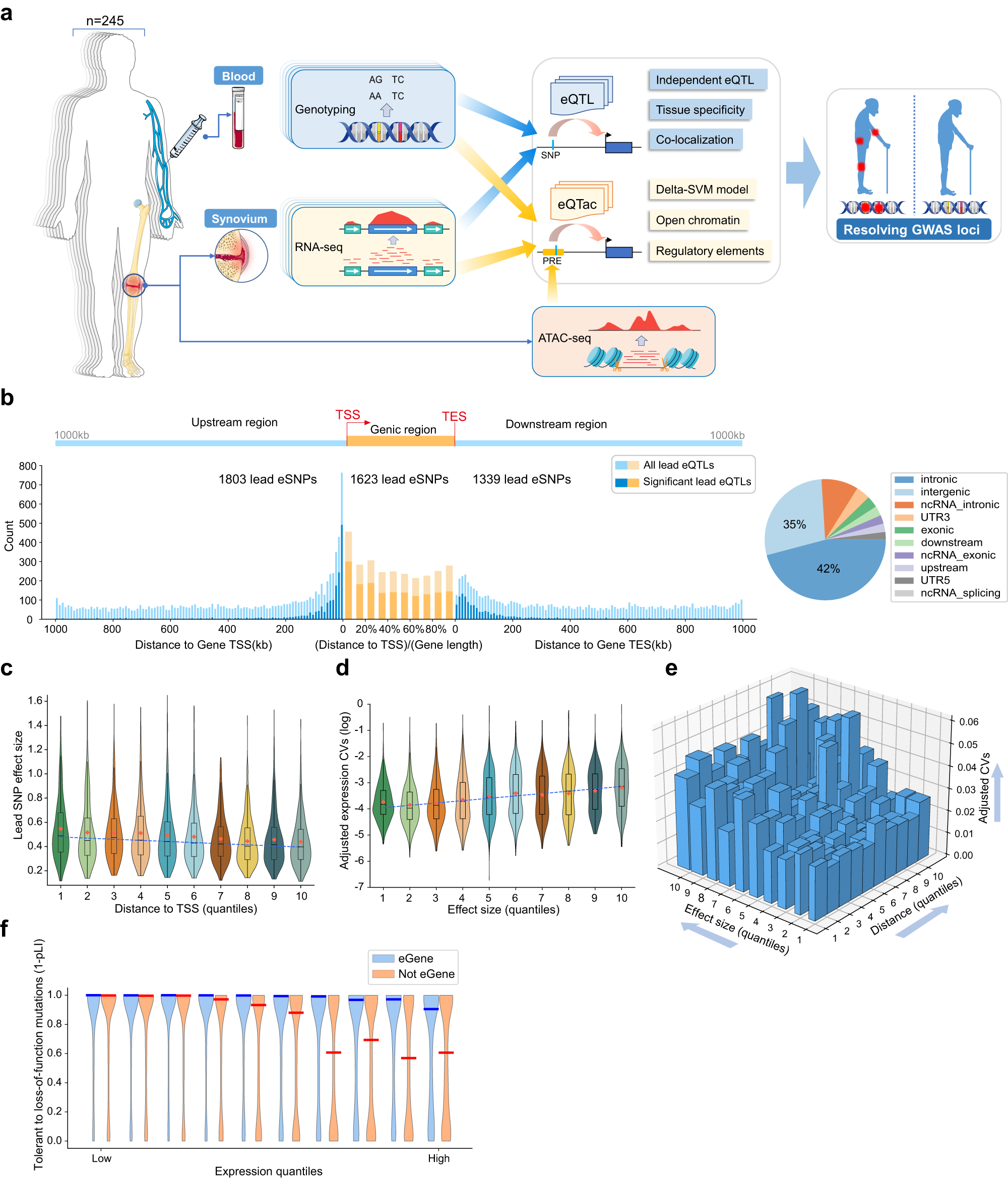 Fig. 1: Overview of synovium eQTLs.