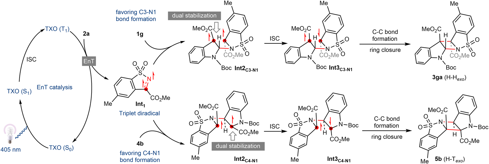 Fig. 6: Plausible reaction mechanism.