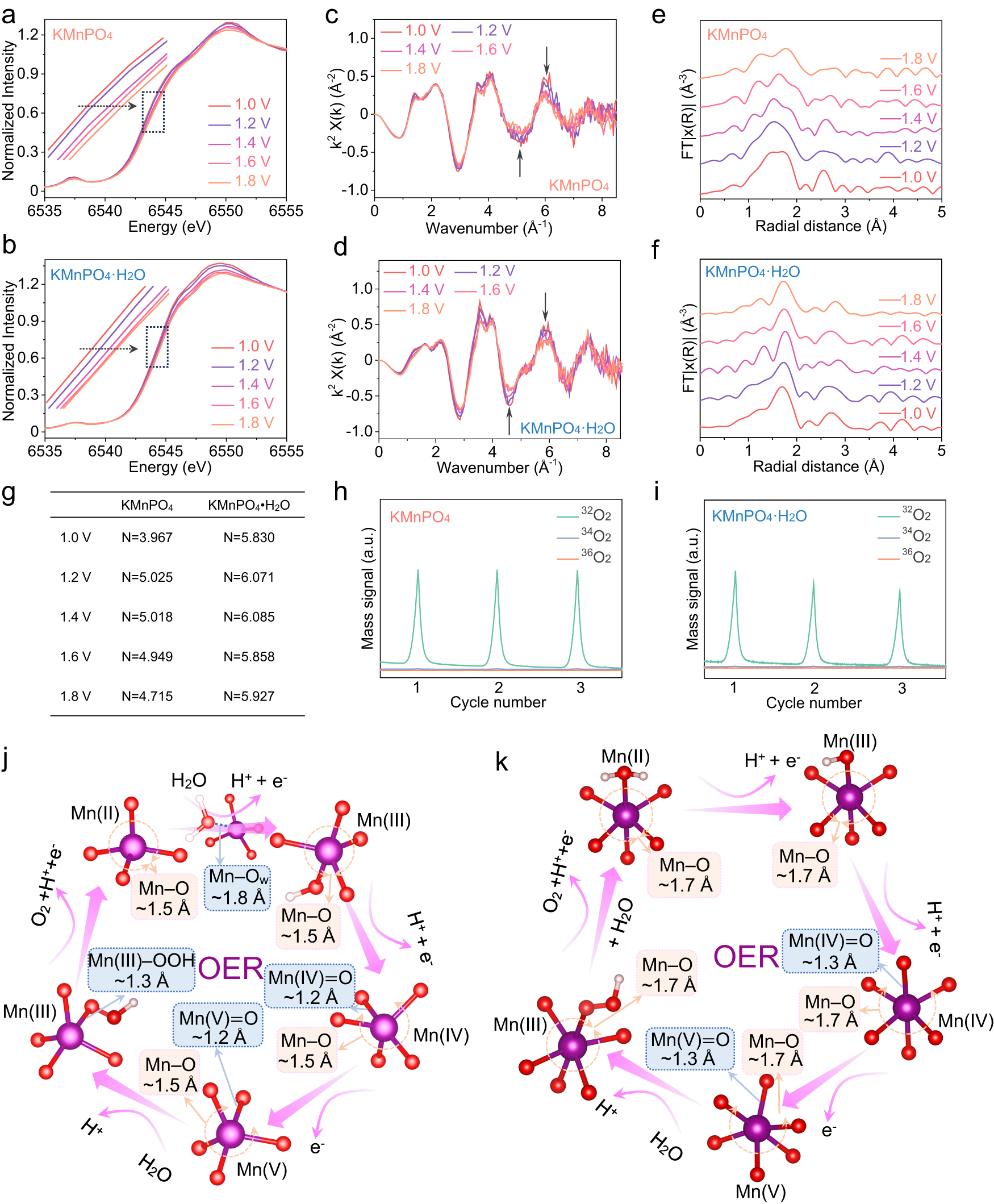 Fig. 6: OER catalytic mechanism analyses.