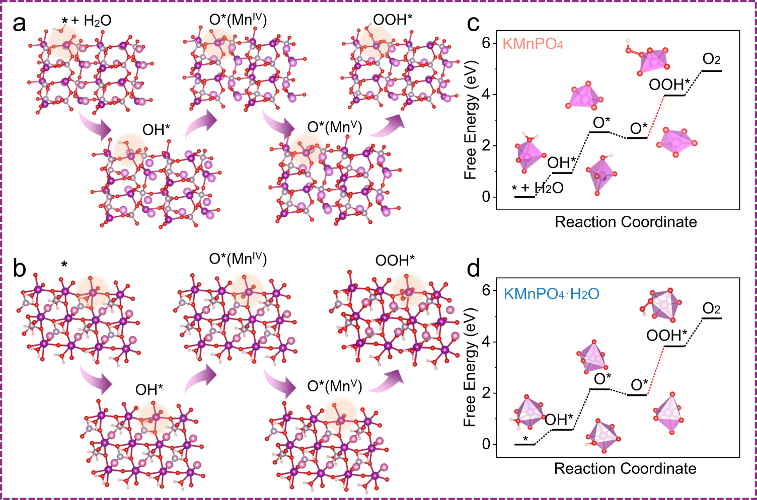 Fig. 7: Evaluation of the catalytic mechanism by DFT calculations.