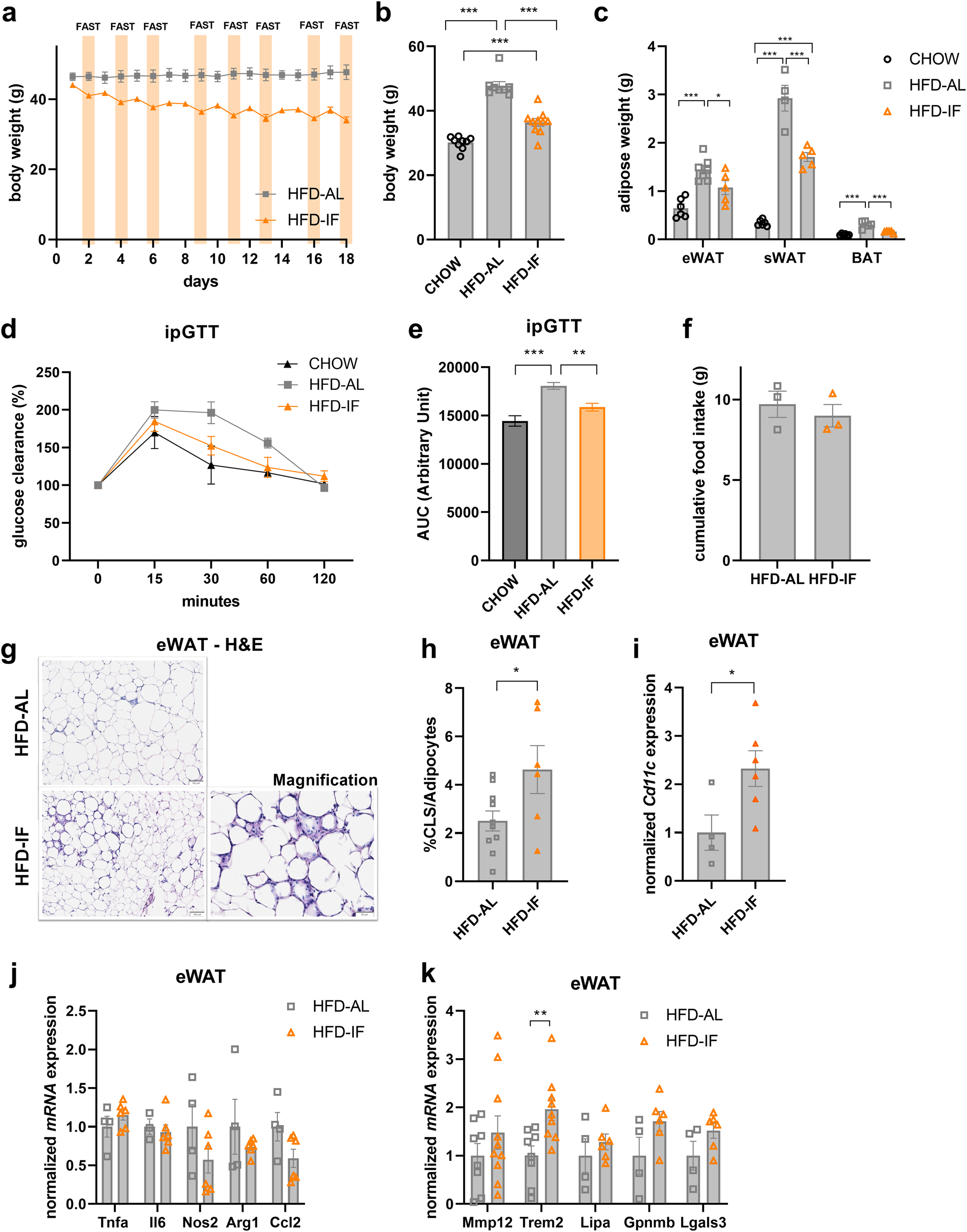 Adipocyte p53 coordinates the response to intermittent fasting by regulating adipose tissue immune cell landscape | Nature Communications adipocyte-p53-coordinates-the-response-to-intermittent-fasting-by-regulating-adipose-tissue-immune-cell-landscape-nature-communications